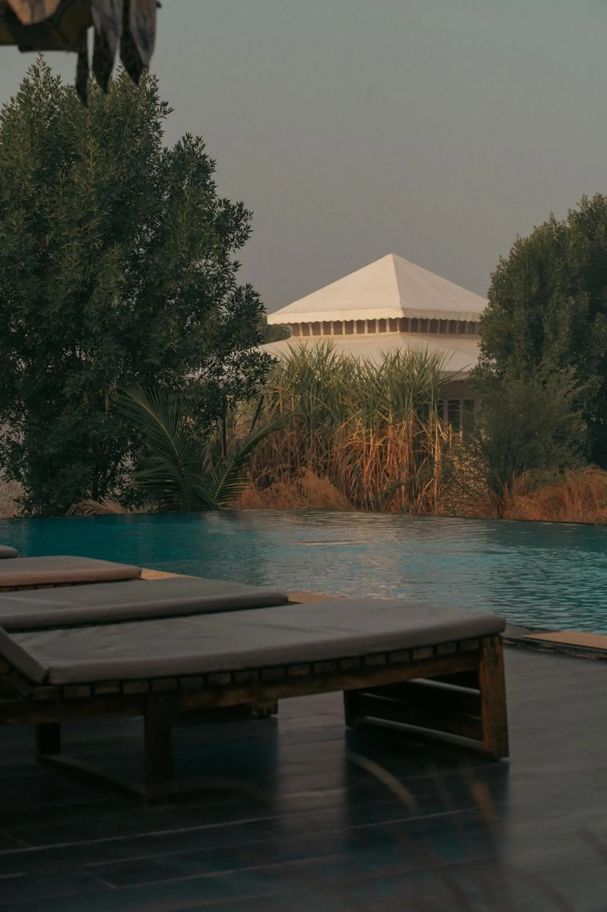 Pool view in Brij Pola, Jawai - Luxury Jungle Camp with Private Pools Pool view in Brij Pola, Jawai - Luxury Jungle Camp with Private Pools