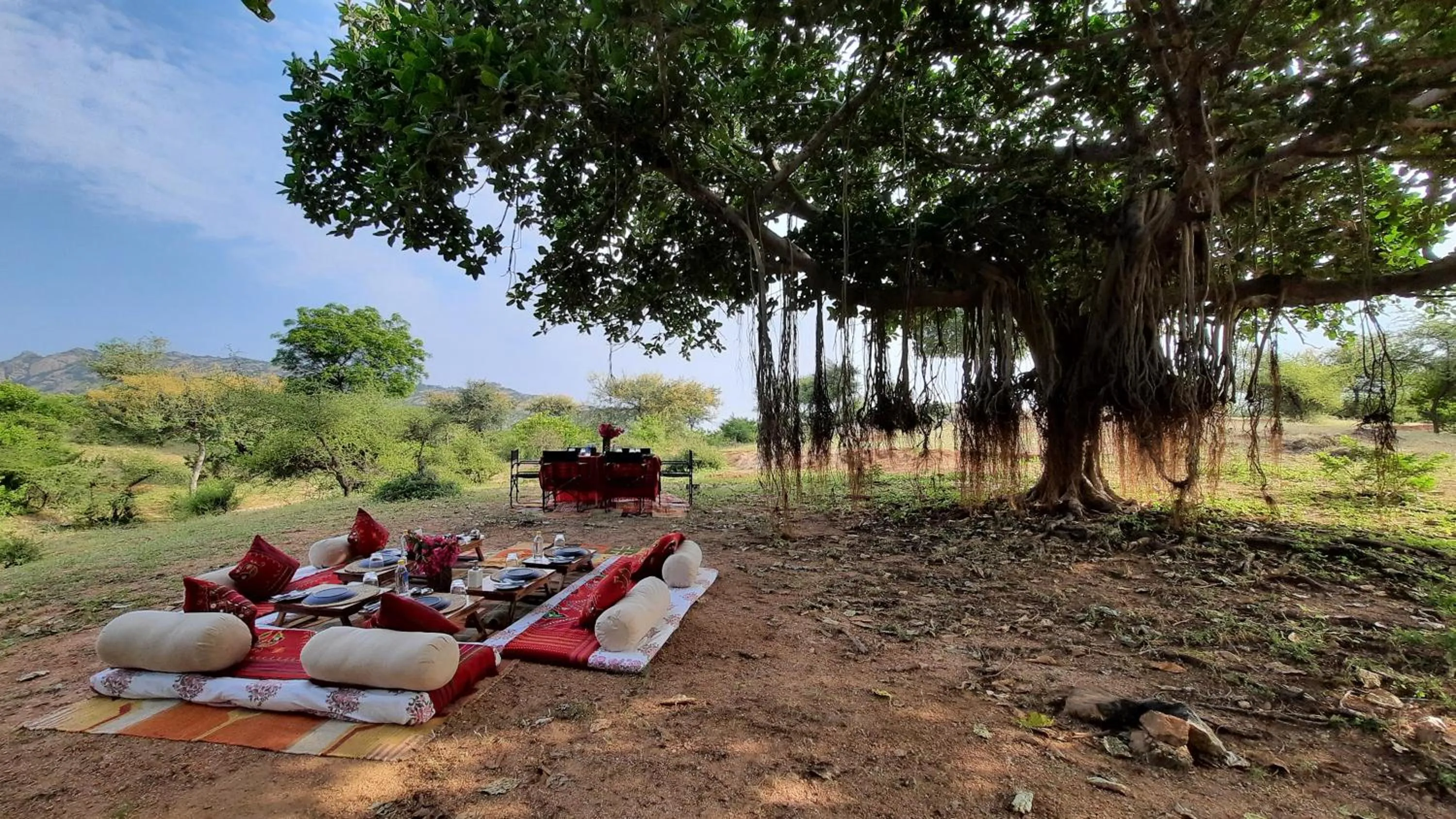 Restaurant/places to eat in Brij Pola, Jawai - Luxury Jungle Camp with Private Pools