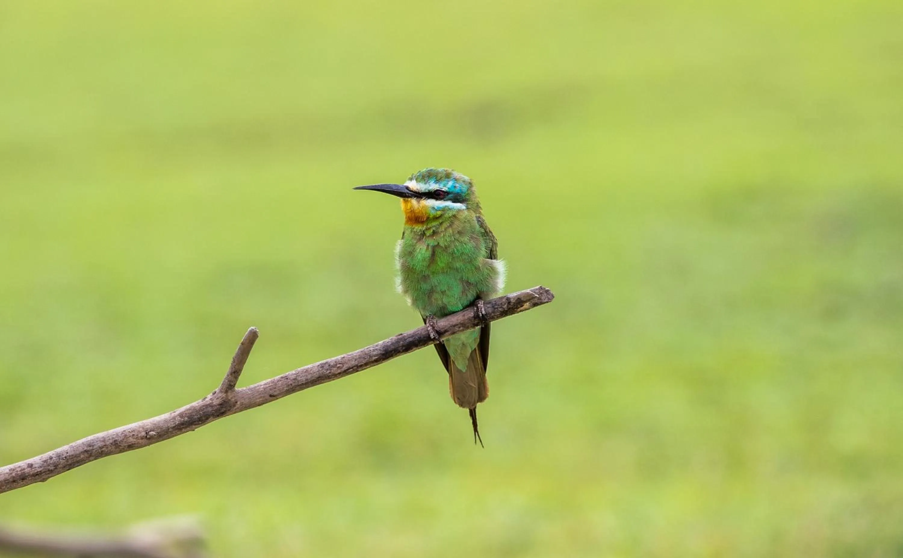 Activities in Brij Pola, Jawai - Luxury Jungle Camp with Private Pools