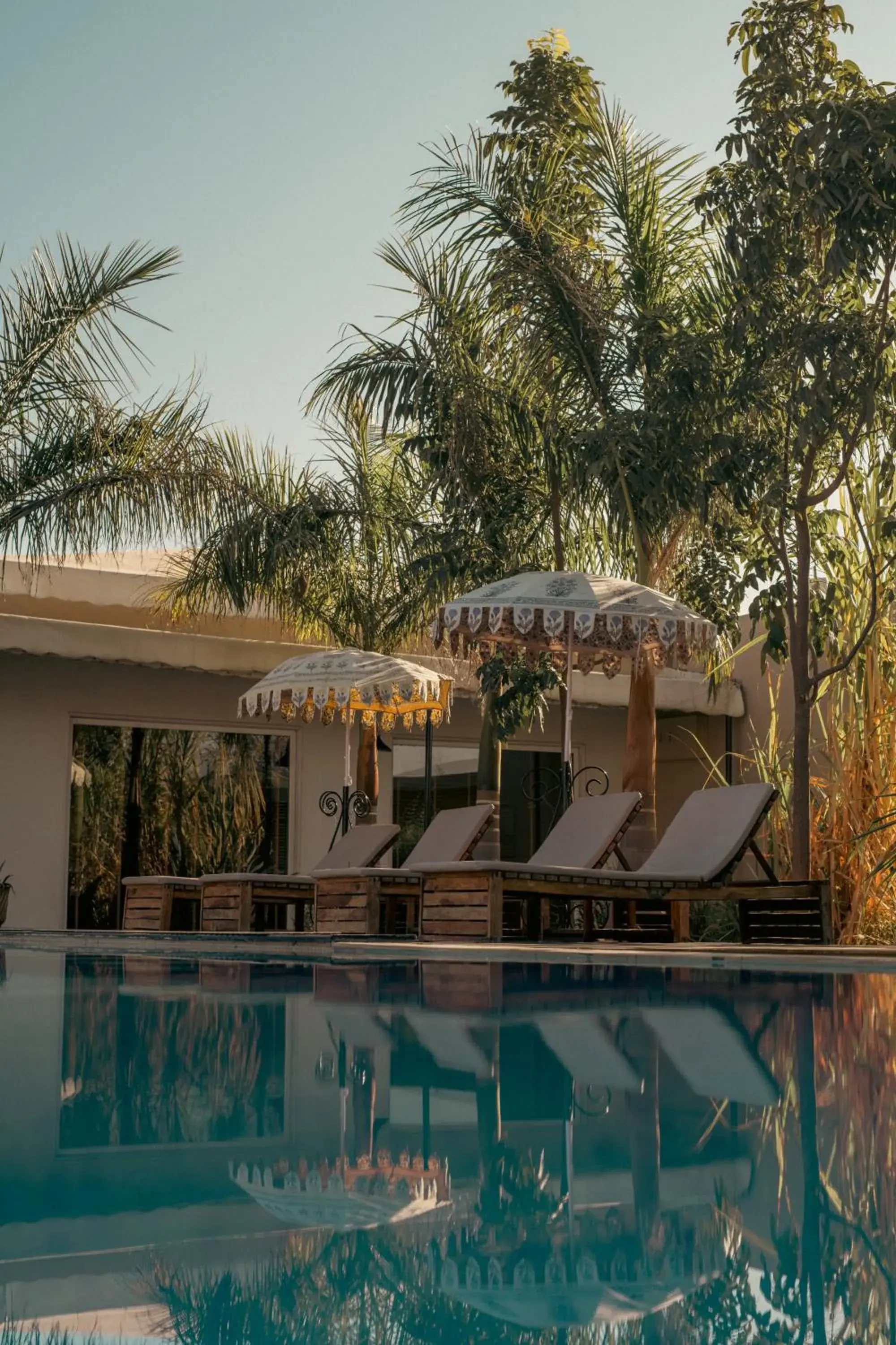 Pool view in Brij Pola, Jawai - Luxury Jungle Camp with Private Pools Pool view in Brij Pola, Jawai - Luxury Jungle Camp with Private Pools