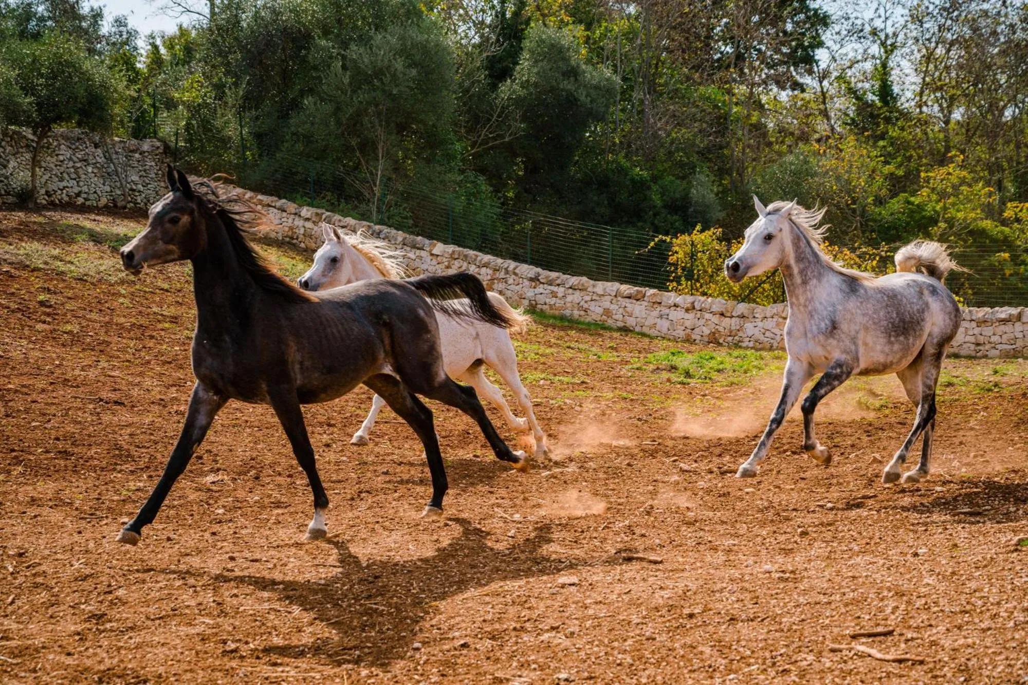 Borgo Del Tempo Ritrovato - Luxury Relais in Puglia