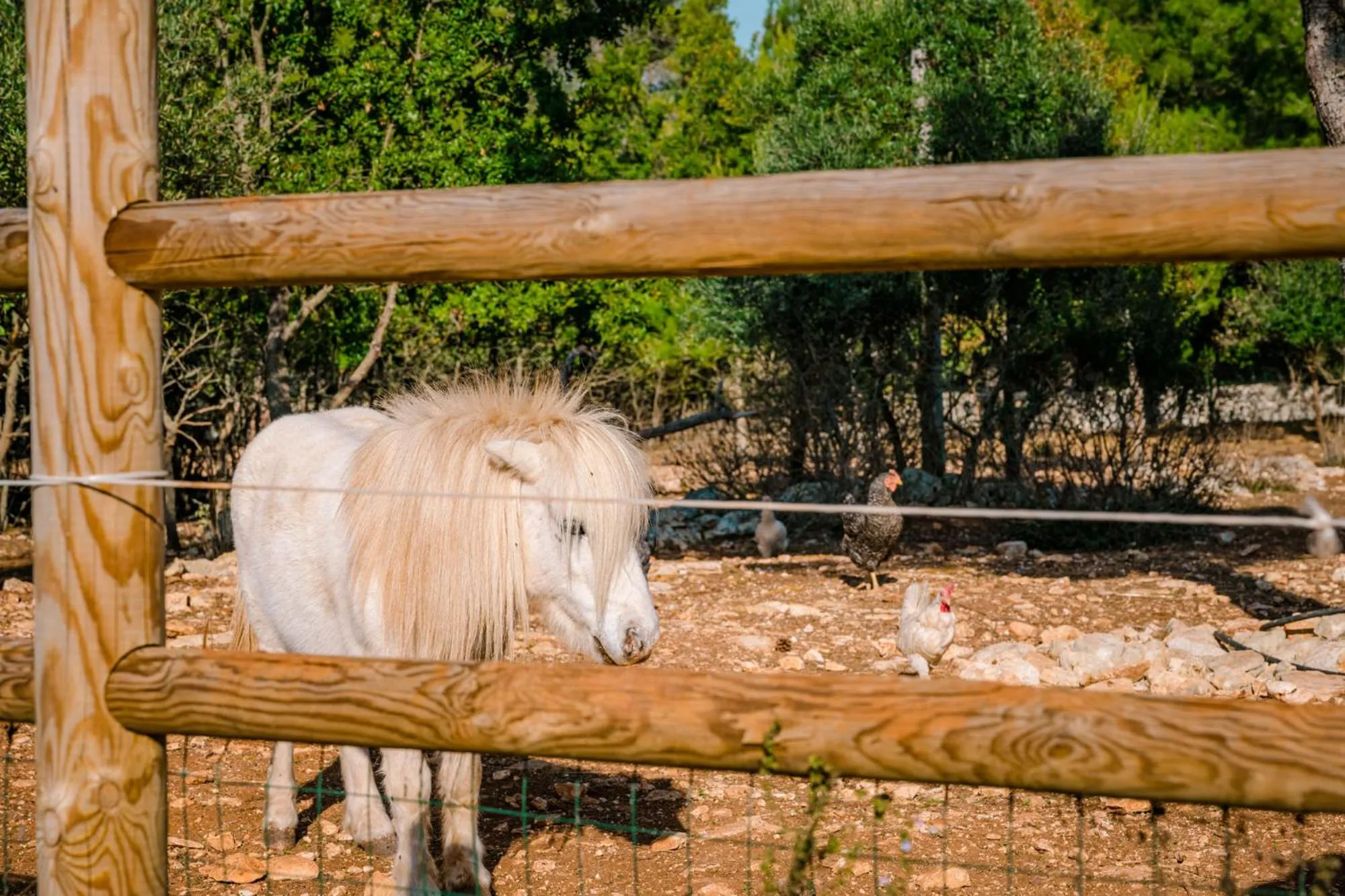 Borgo Del Tempo Ritrovato - Luxury Relais in Puglia