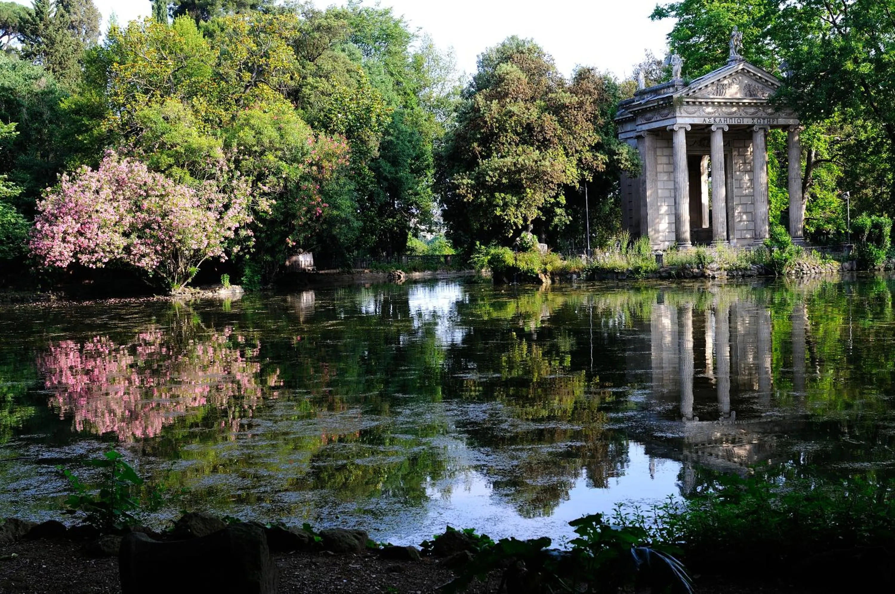 Neighbourhood in Aquarius Inn