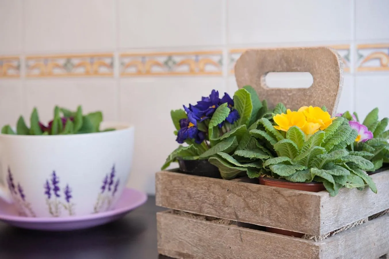 Communal kitchen in Aquarius Inn