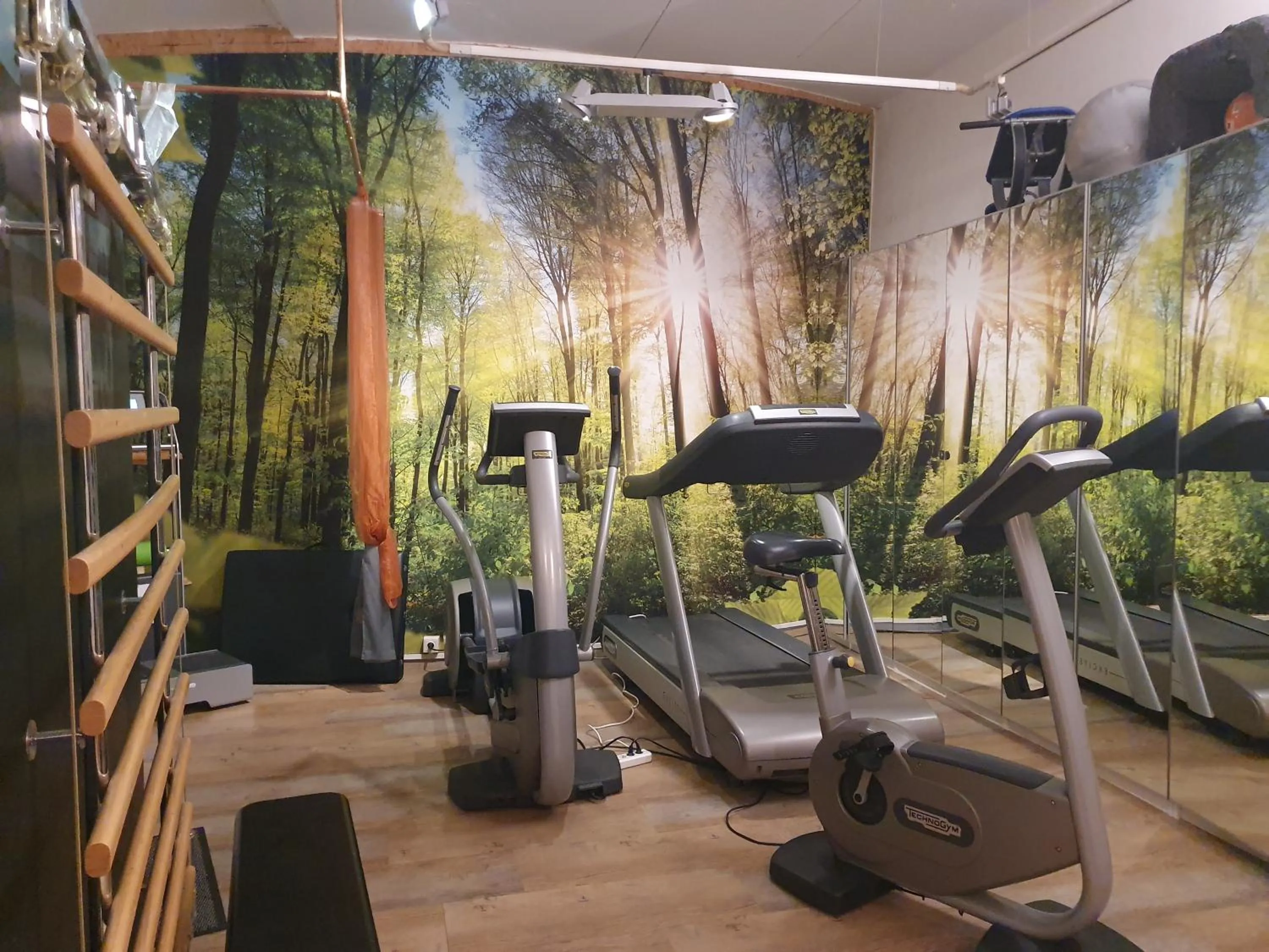 Fitness centre/facilities in Alp Art Hotel Götzens