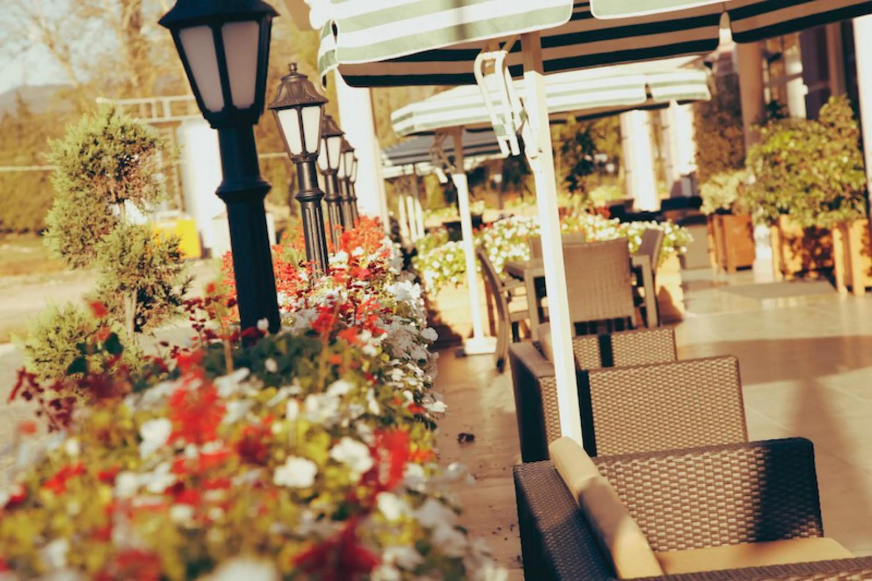 Balcony/Terrace in Tskaltubo Plaza Hotel