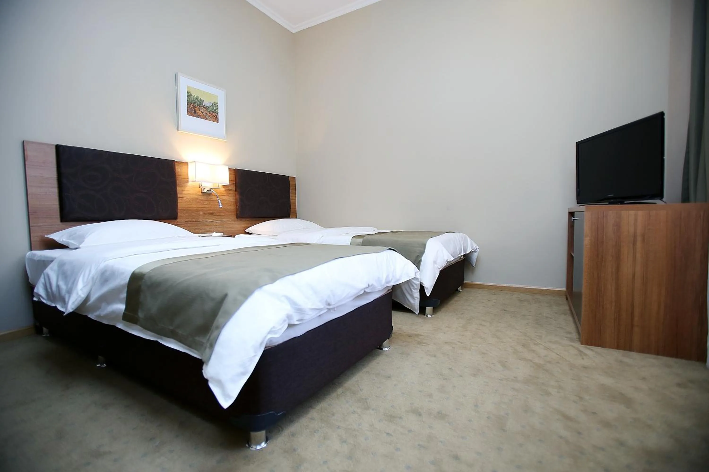 Photo of the whole room, Bed in Tskaltubo Plaza Hotel