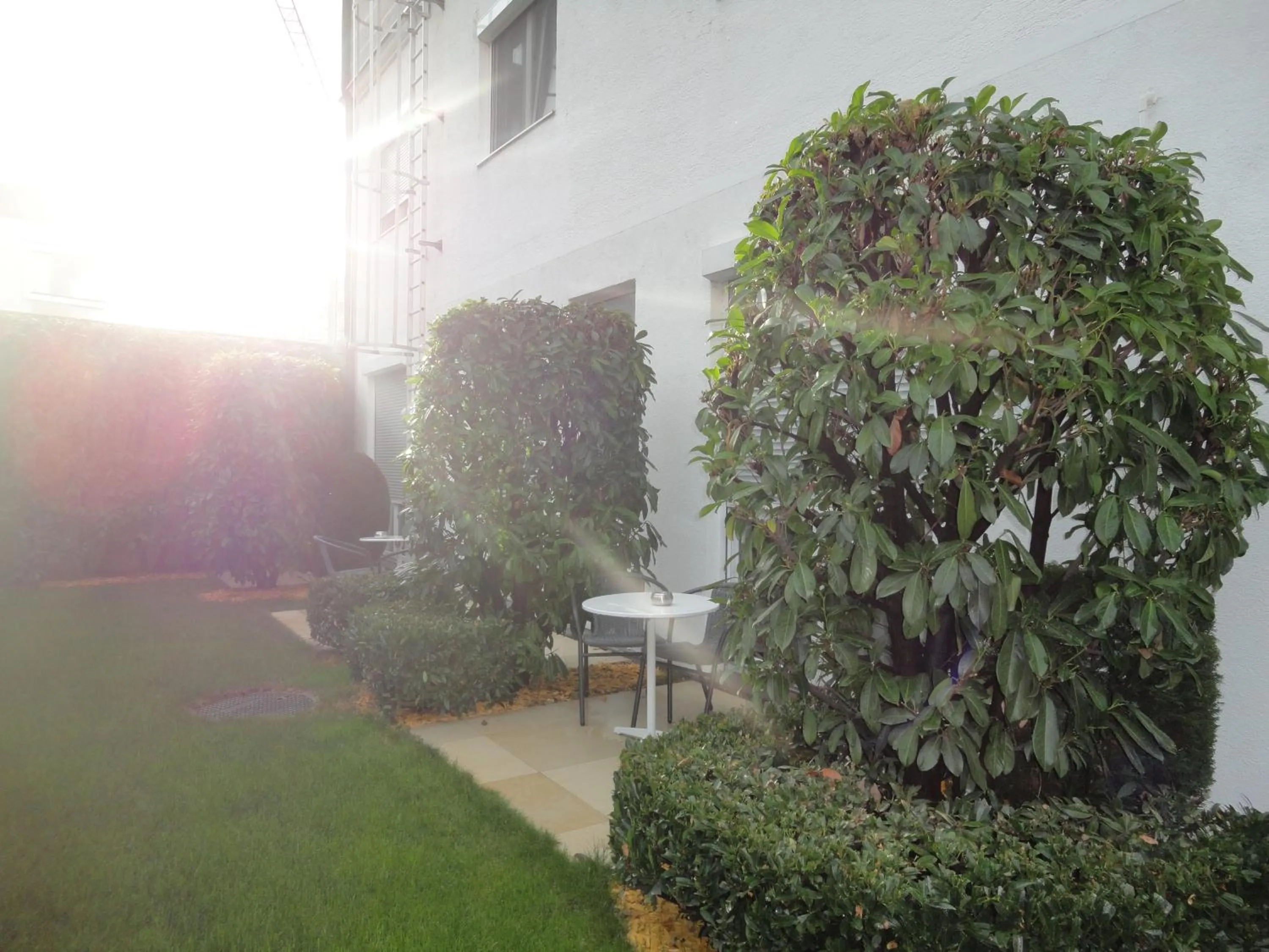 Garden in City Hotel Albrecht