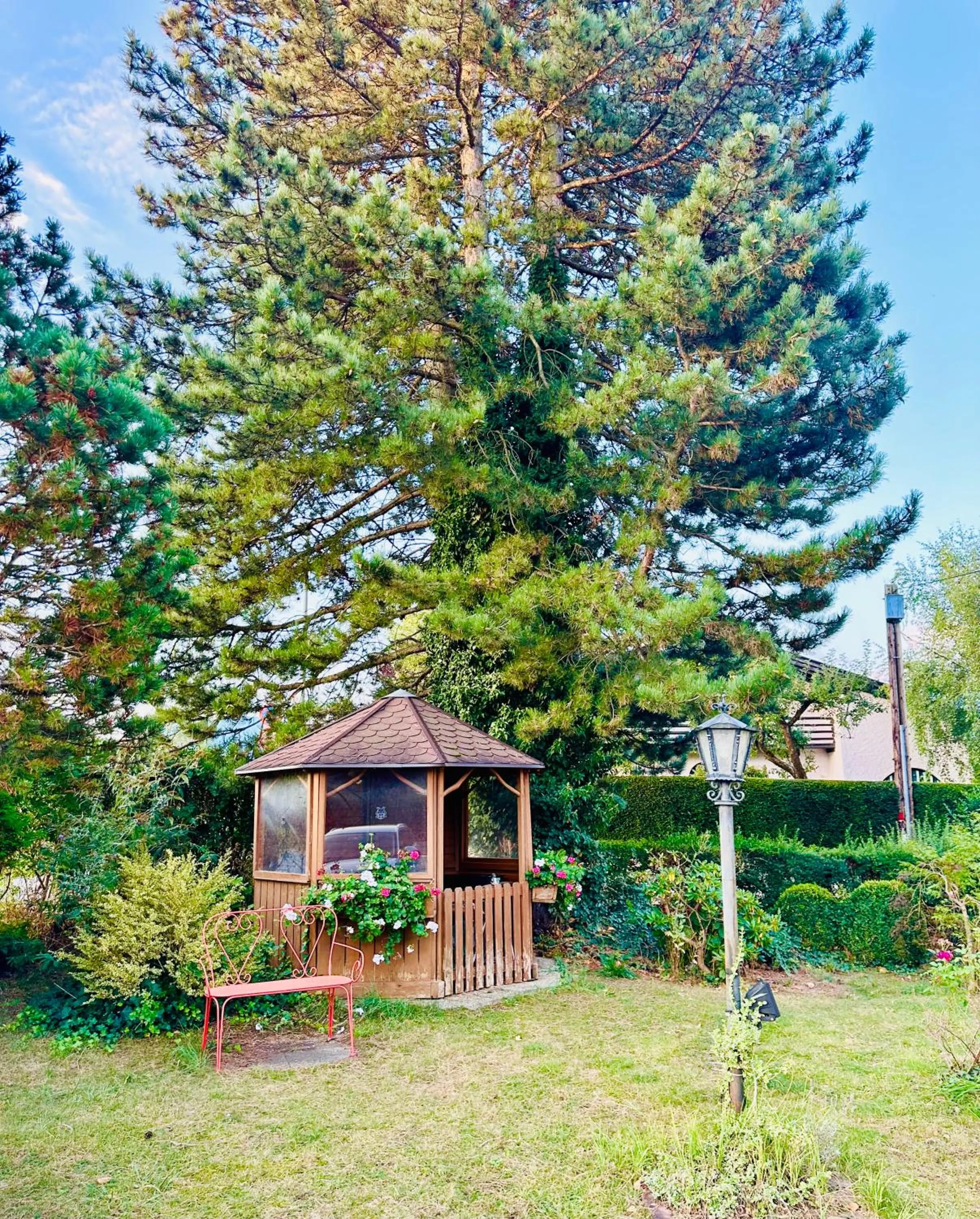 Garden in Hotel Sonnenhof - bed & breakfast & appartements