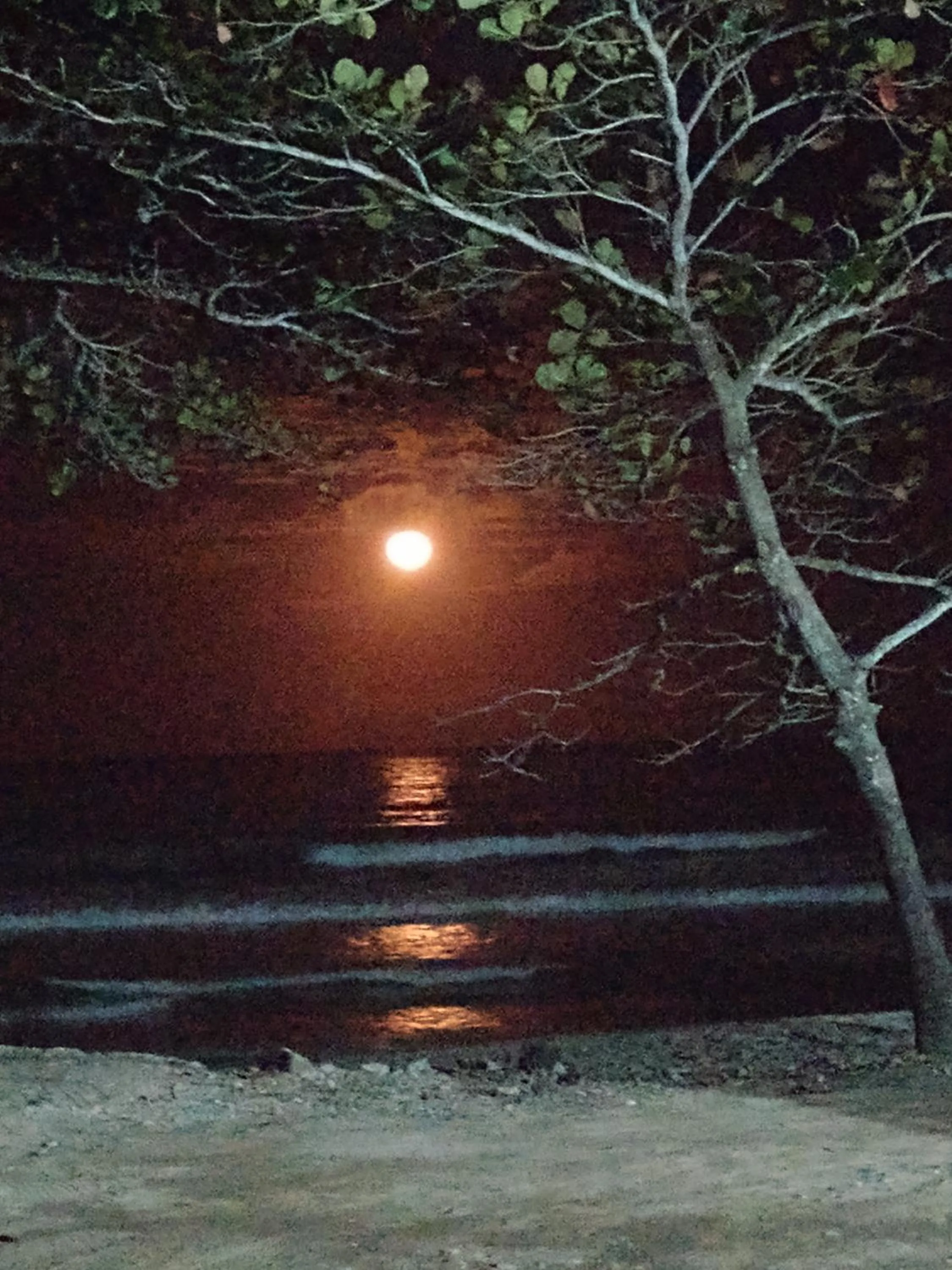 Riviera das Toninhas 07