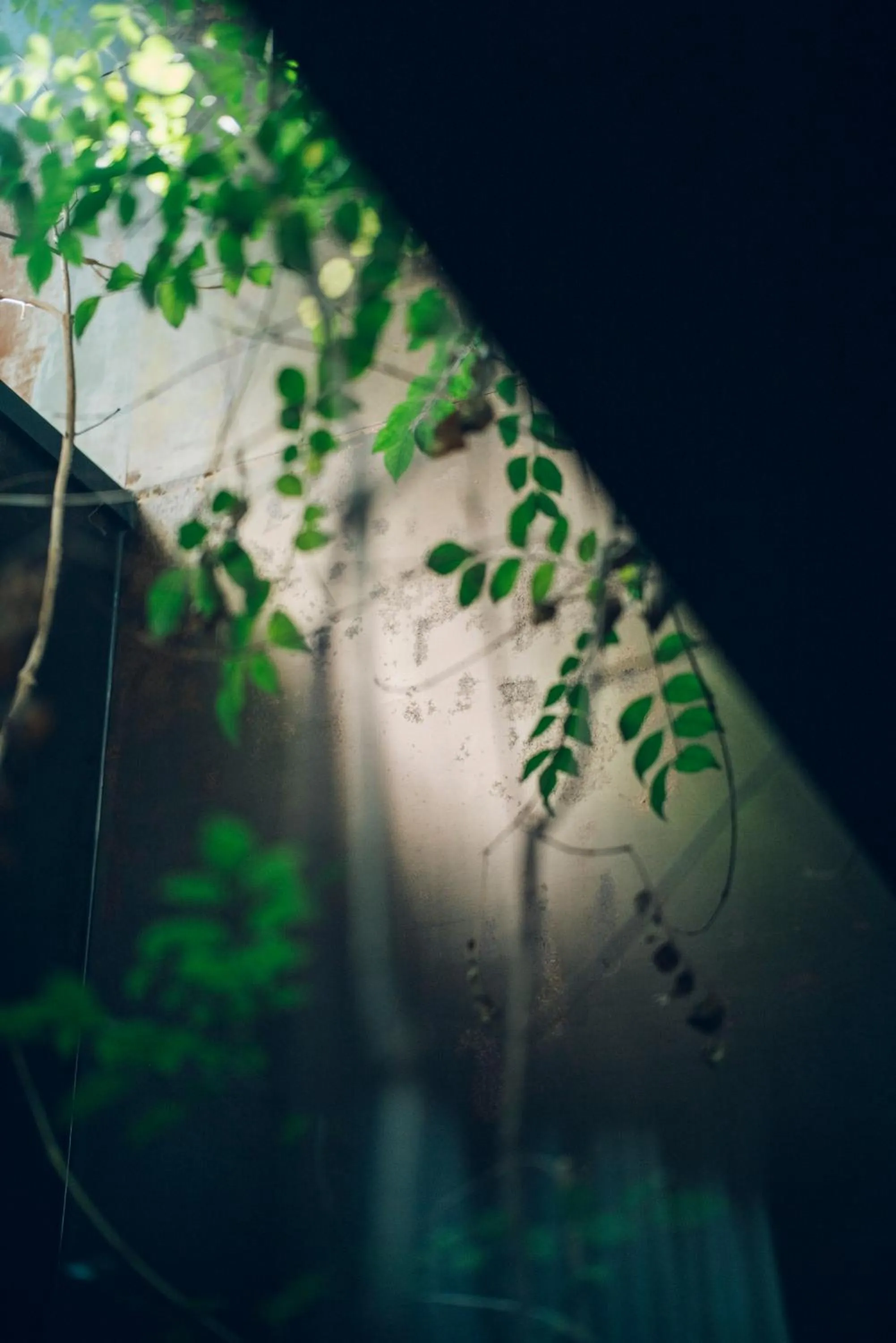 Day in Sabino House Kyoto