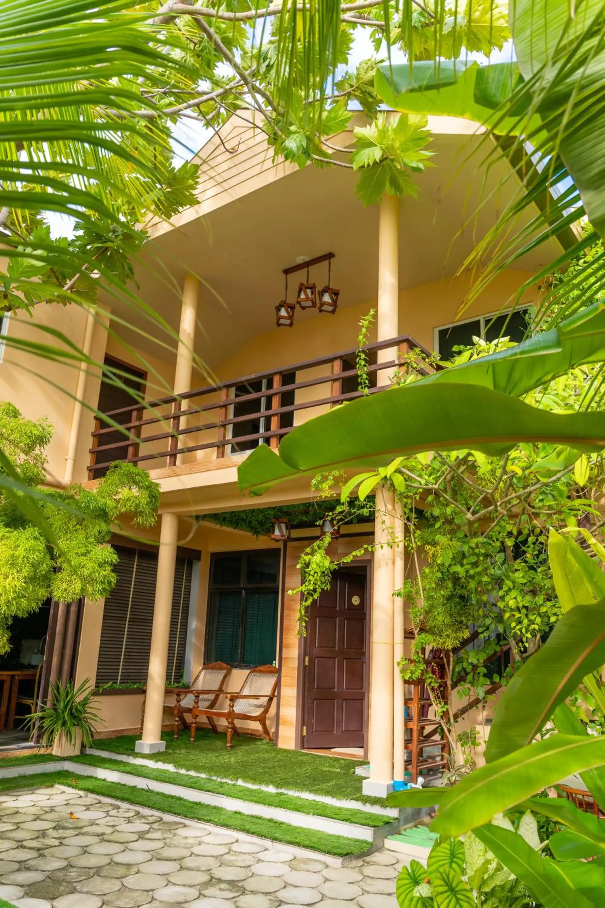 Daisy Cottage Dhangethi Daisy Cottage Dhangethi