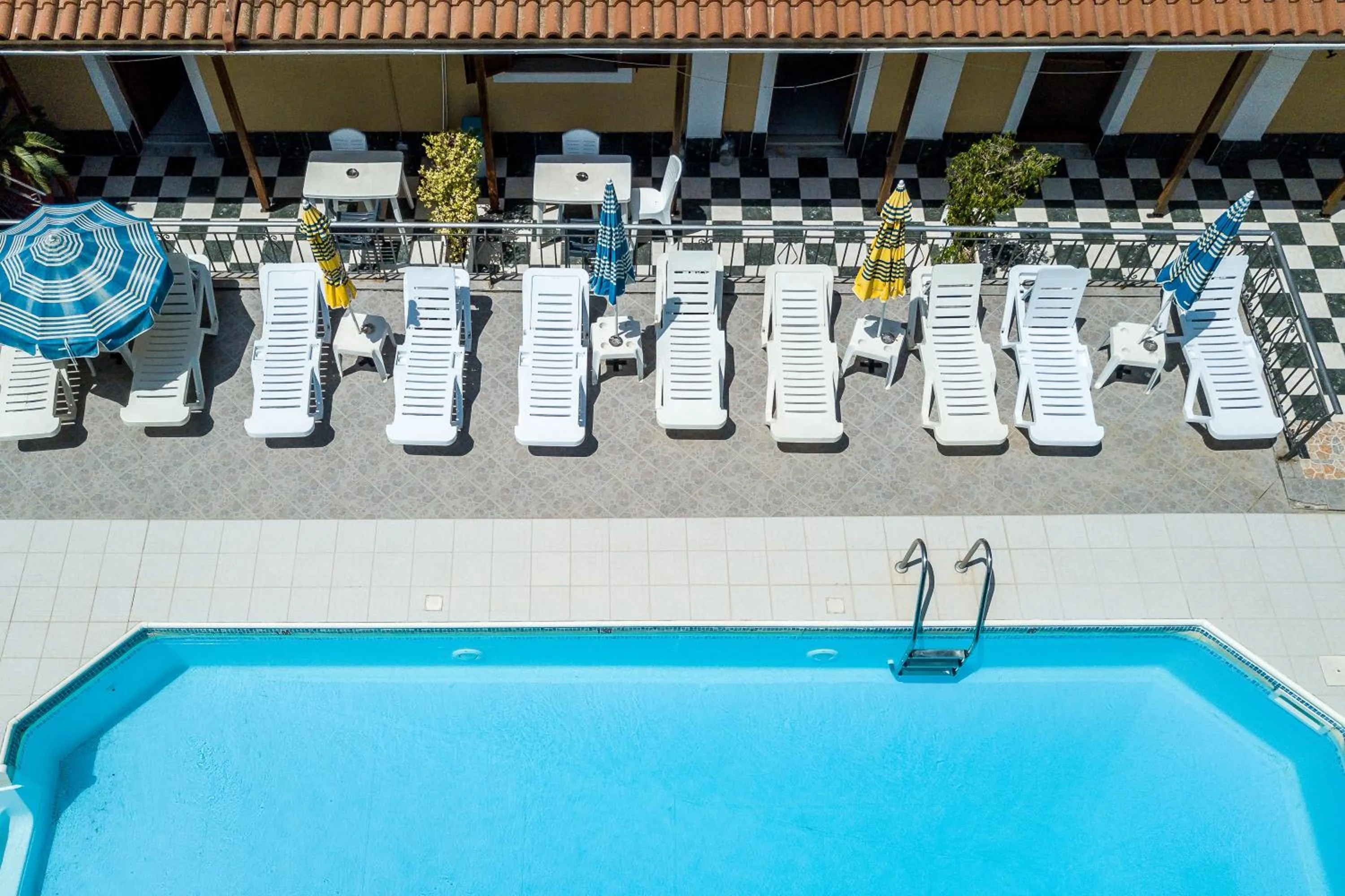 Swimming pool in Rose Club Apartments