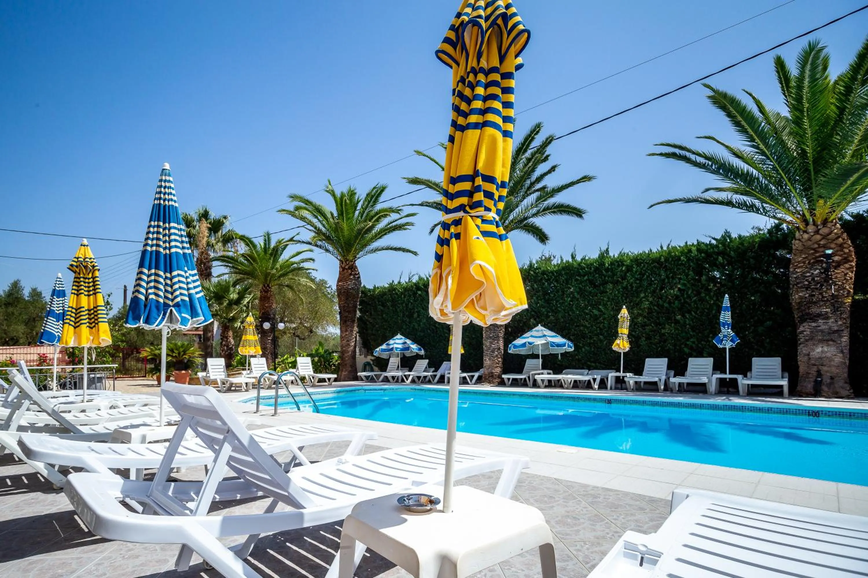 Swimming pool in Rose Club Apartments