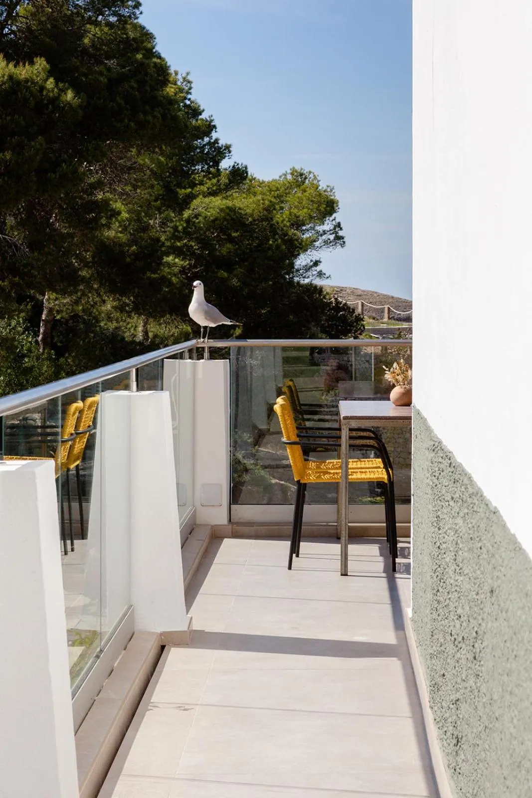 Restaurant/places to eat in Hostal La Cigüeña