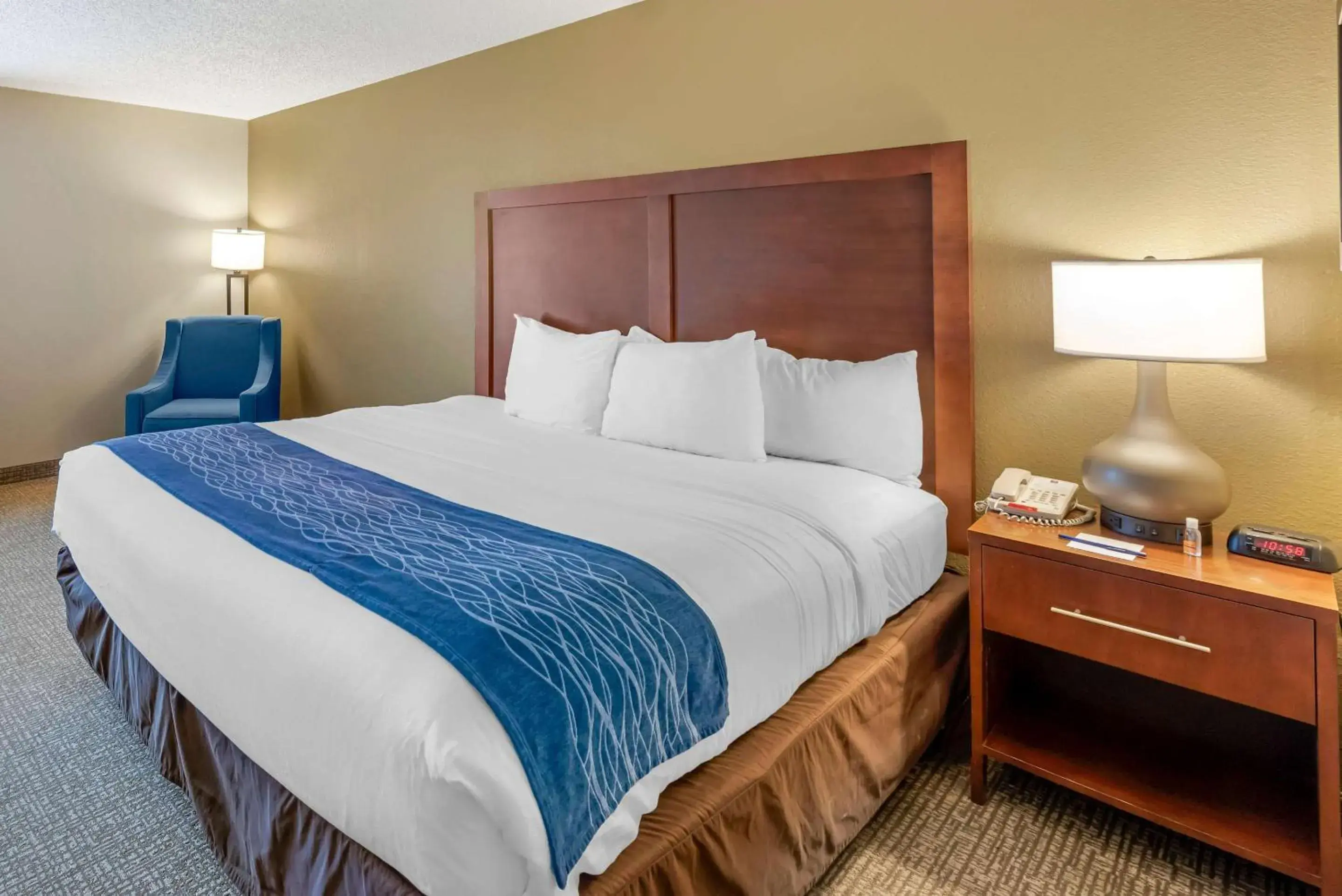 Bedroom, Bed in Comfort Inn Elizabeth City near University Bedroom, Bed in Comfort Inn Elizabeth City near University