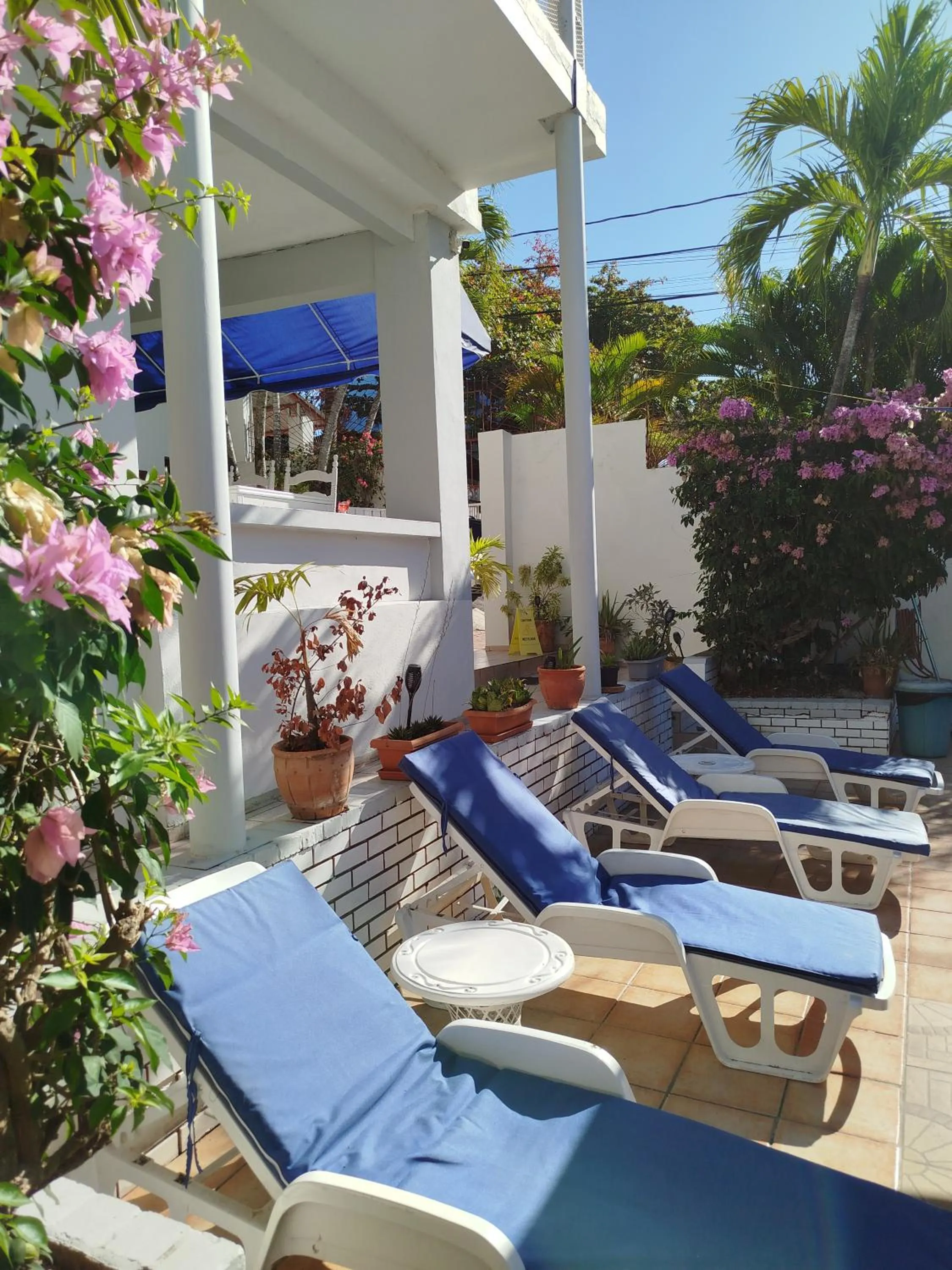 Patio in Hotel Casa Coco