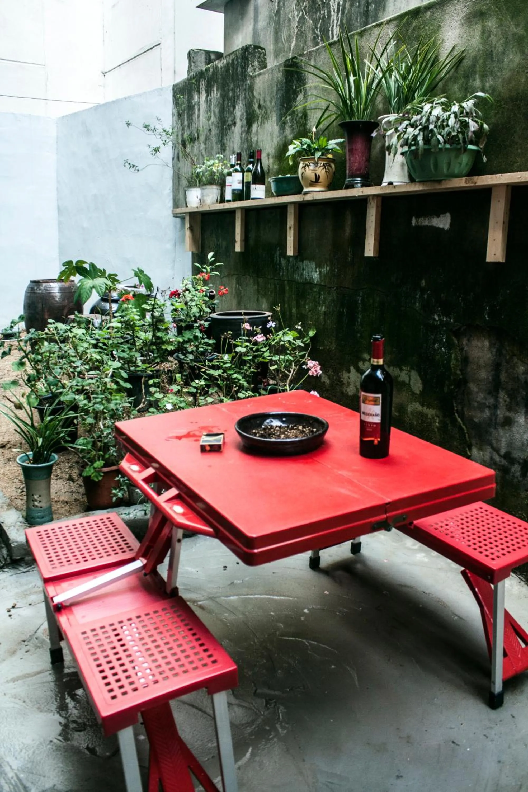 Garden in Nearest Guesthouse