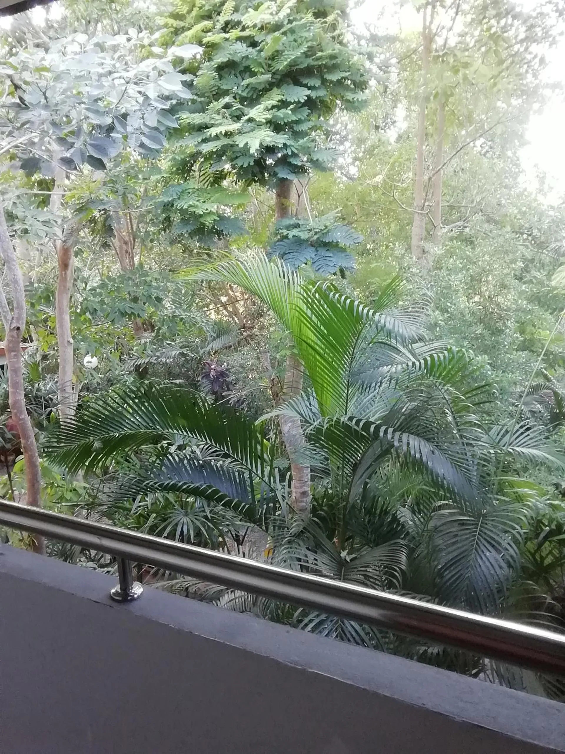 Balcony/Terrace in The Theatre Villa