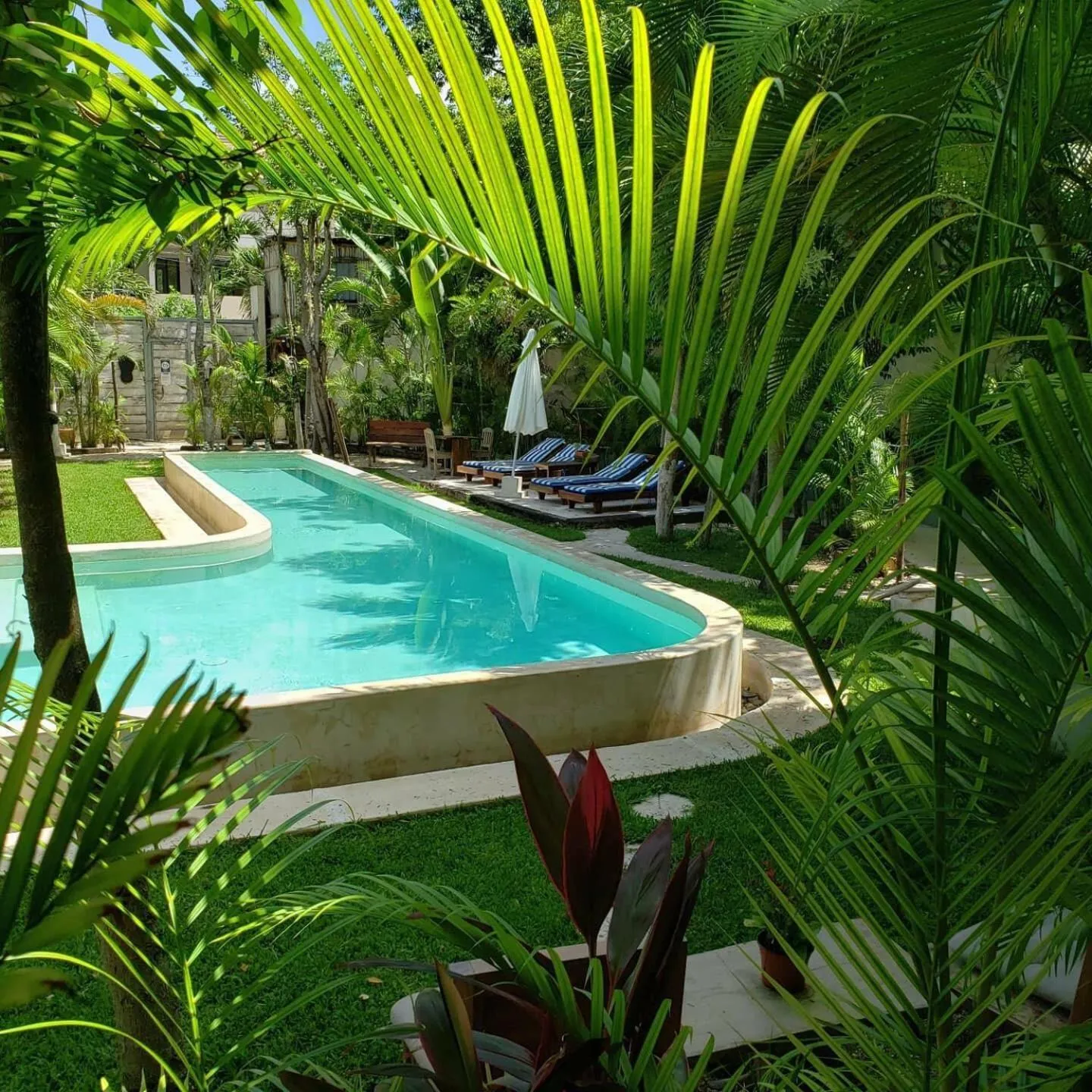 Swimming pool in Casa Tulum Hotel