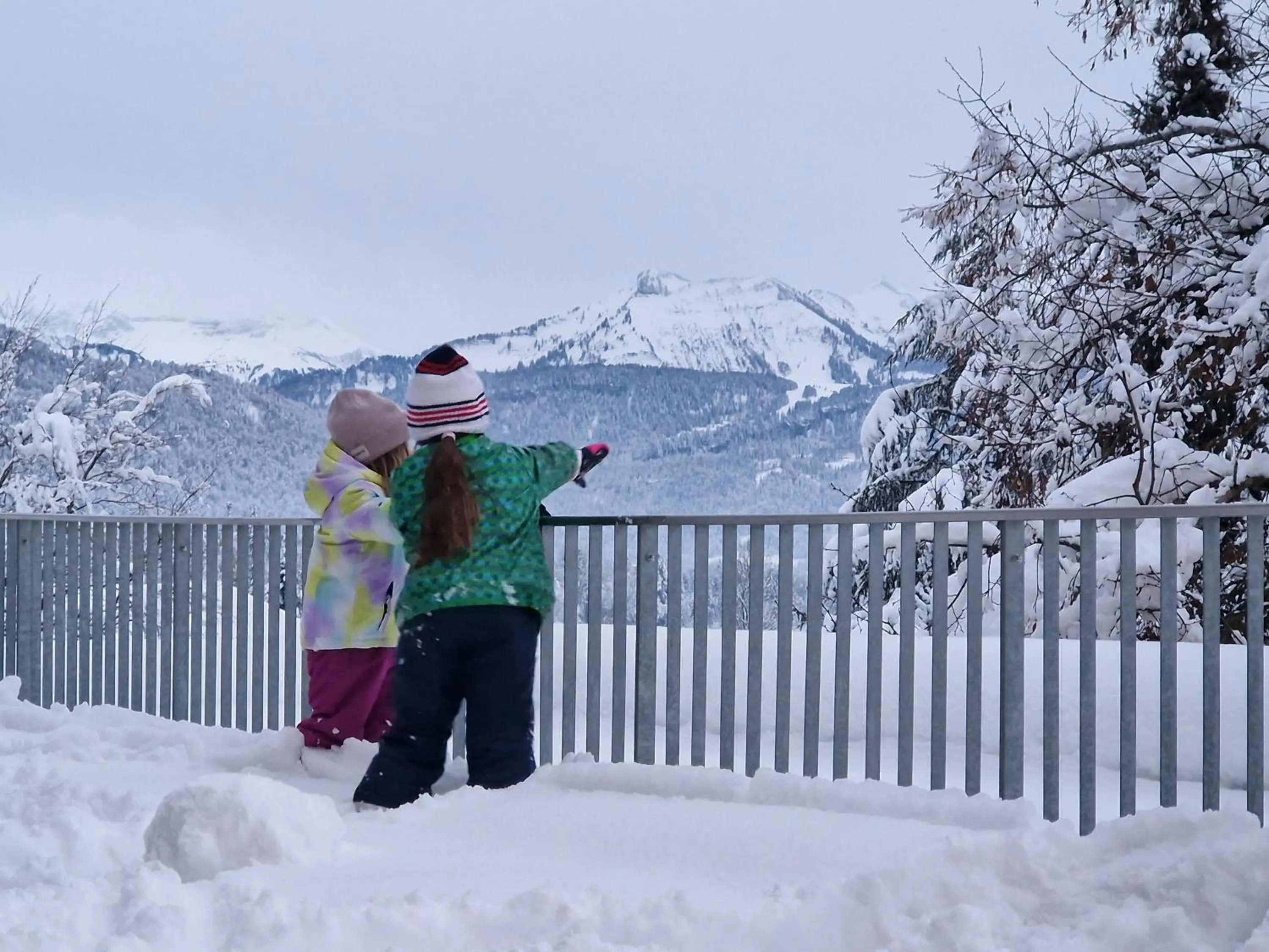 View (from property/room) in Familienhotel Adler