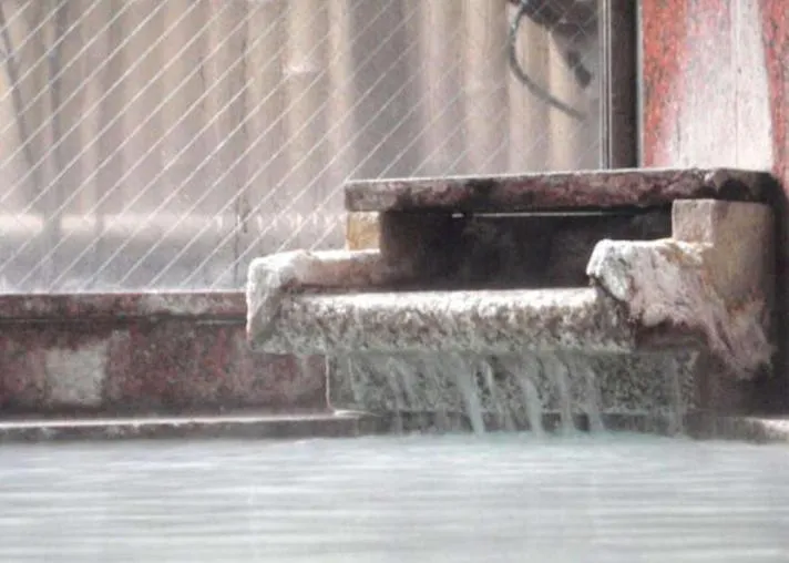 Hot Spring Bath in Yakushi no Yu Yumotokan