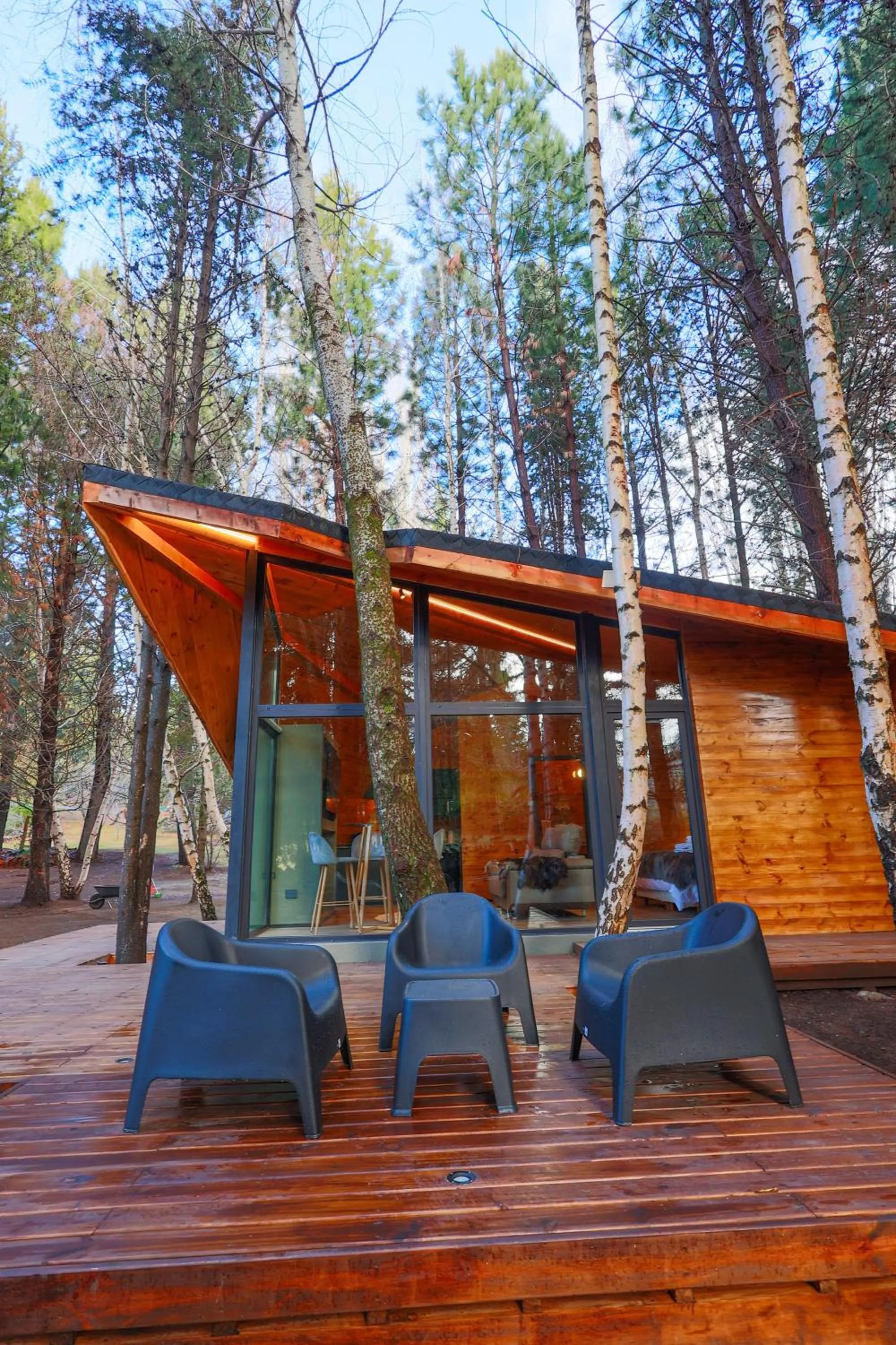 Natural landscape in Cabañas Villa Labrador con costa de lago