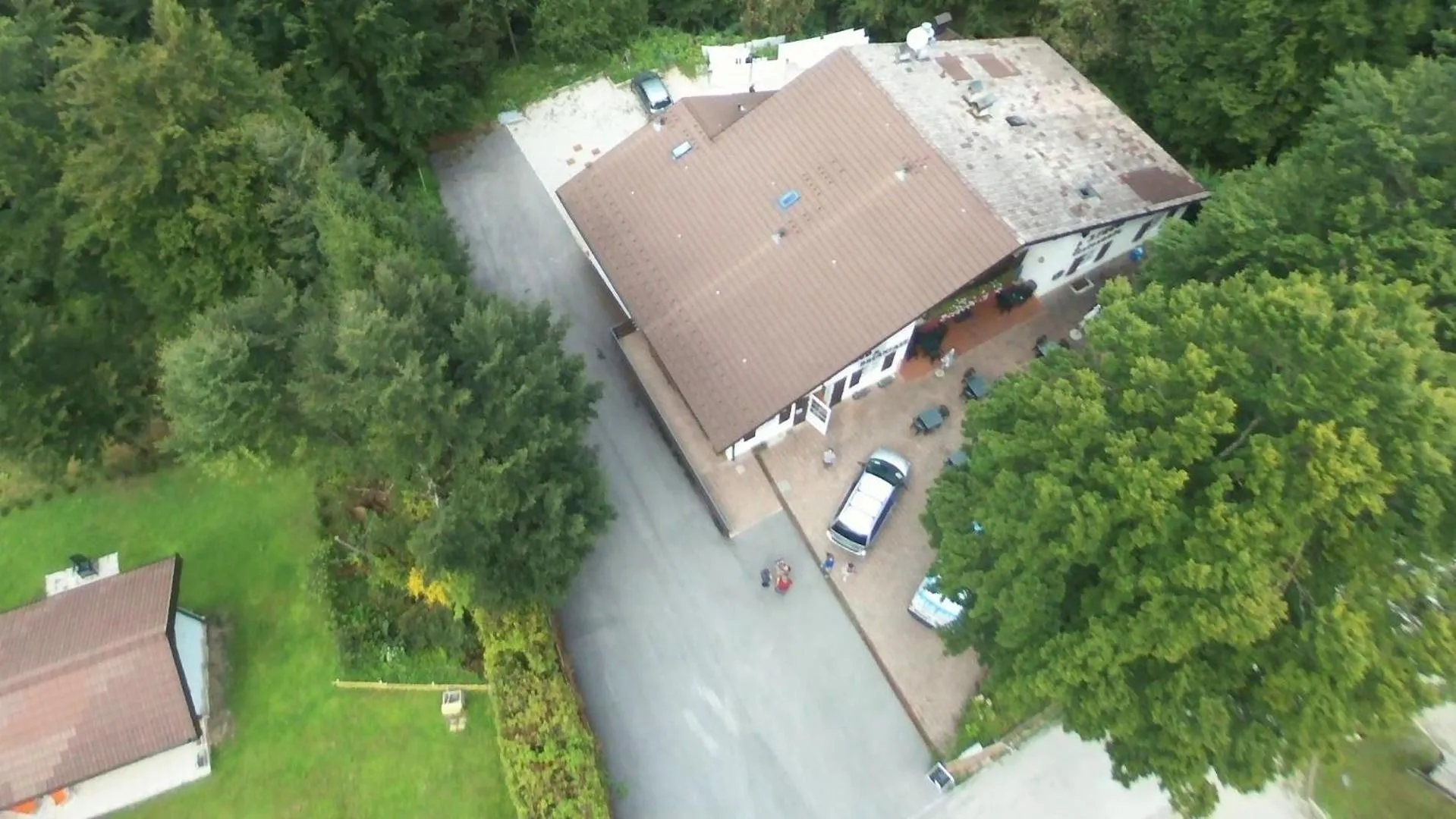 View (from property/room) in B&B Tre Faggi