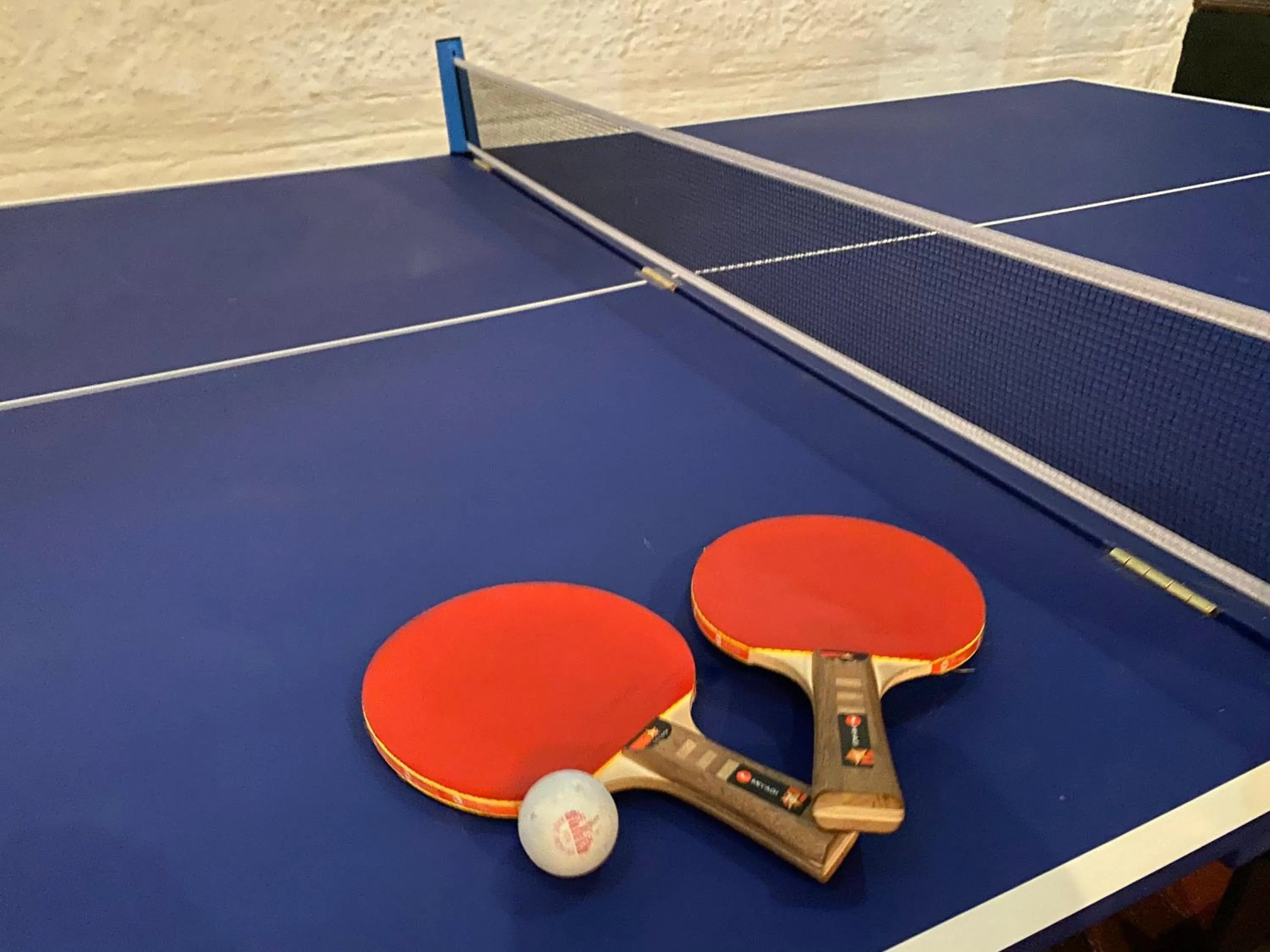 Table tennis in Club AVIVA Guatavita - Hostel - Restaurante, Disco & Bar