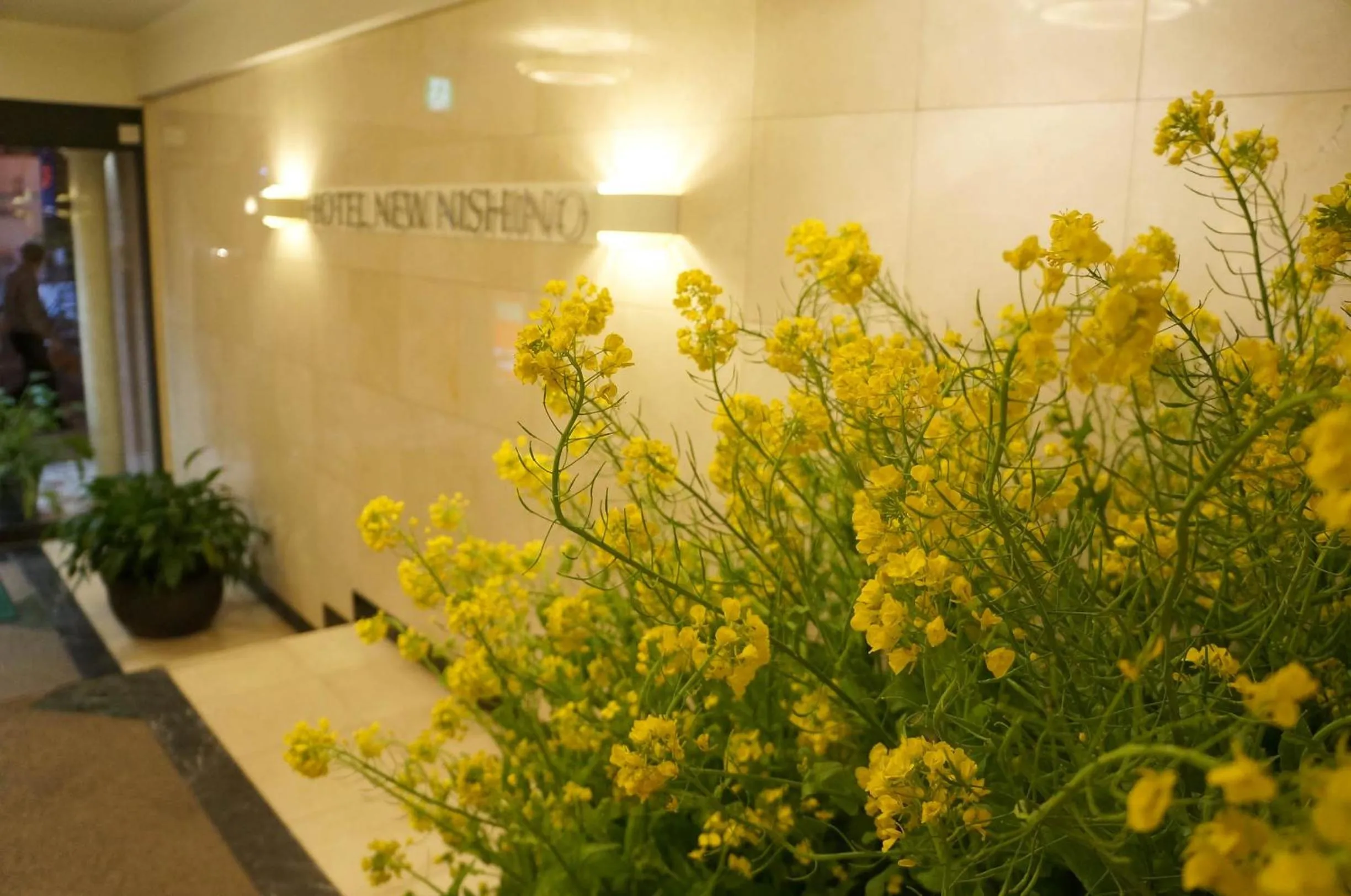 Facade/entrance in Hotel New Nishino