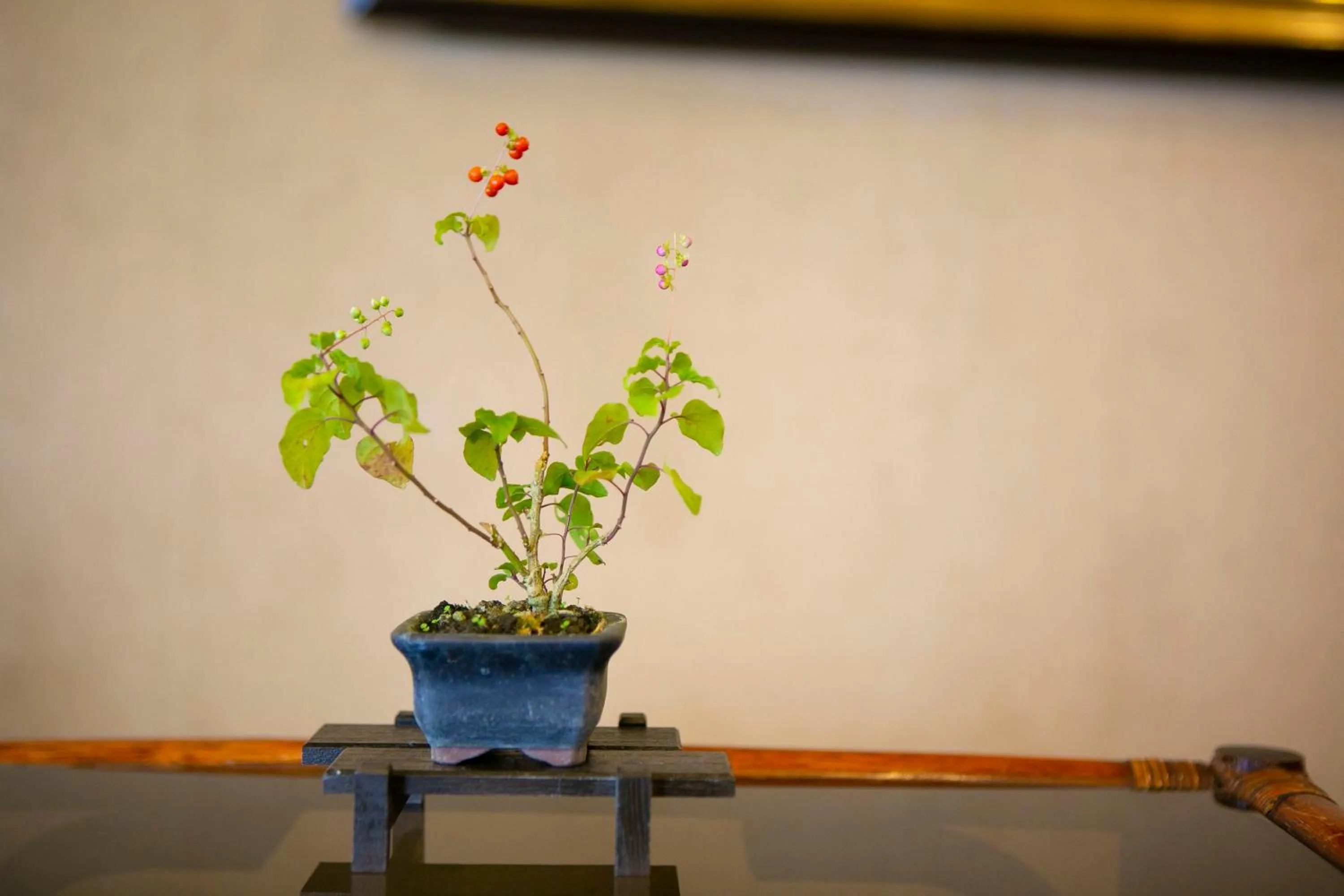 Other in Hotel New Nishino