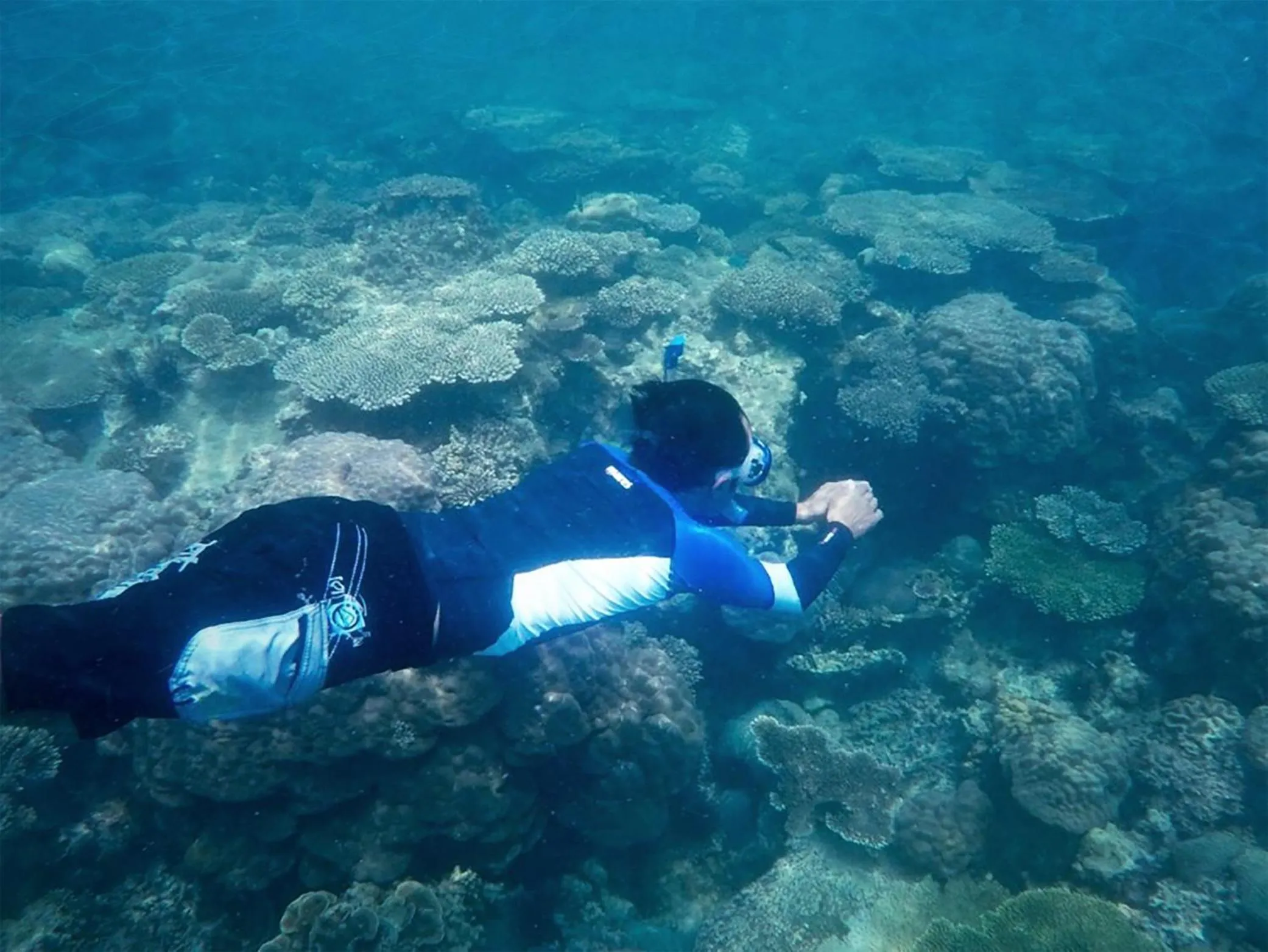 Snorkeling in One of A Kind Resort @Trikora Beach - Bintan