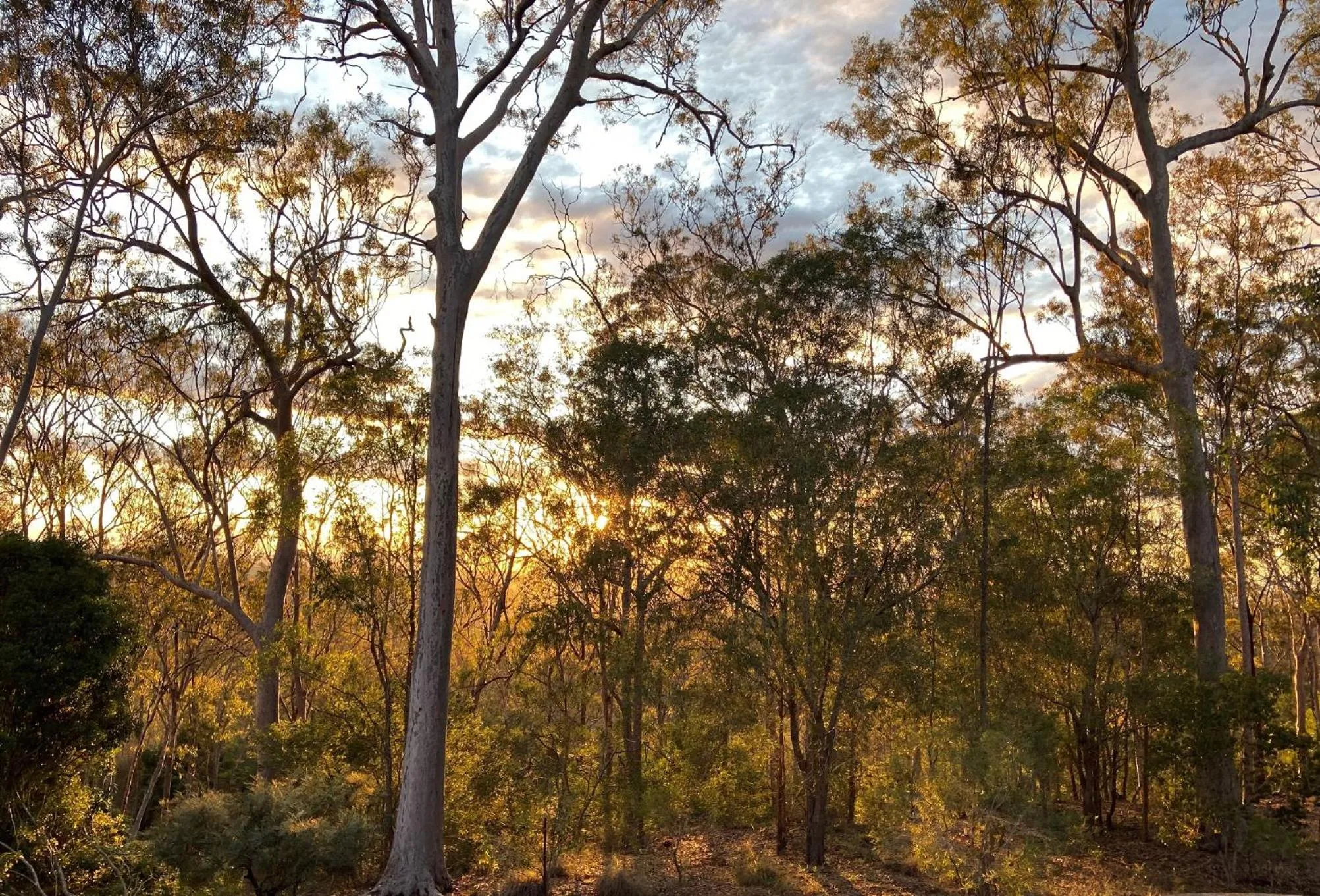 Mountain view in Redrock Retreat