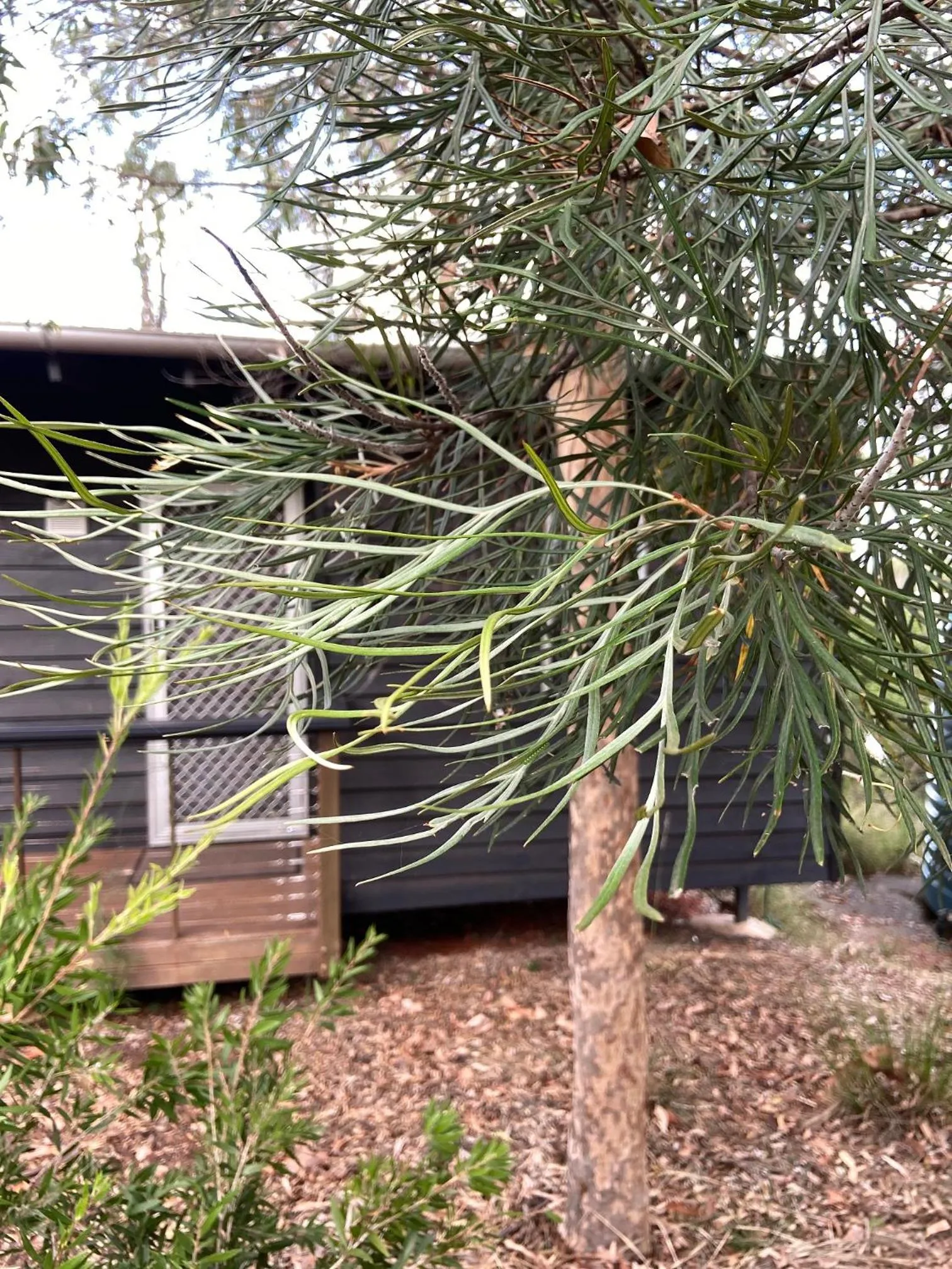 Property building in Redrock Retreat