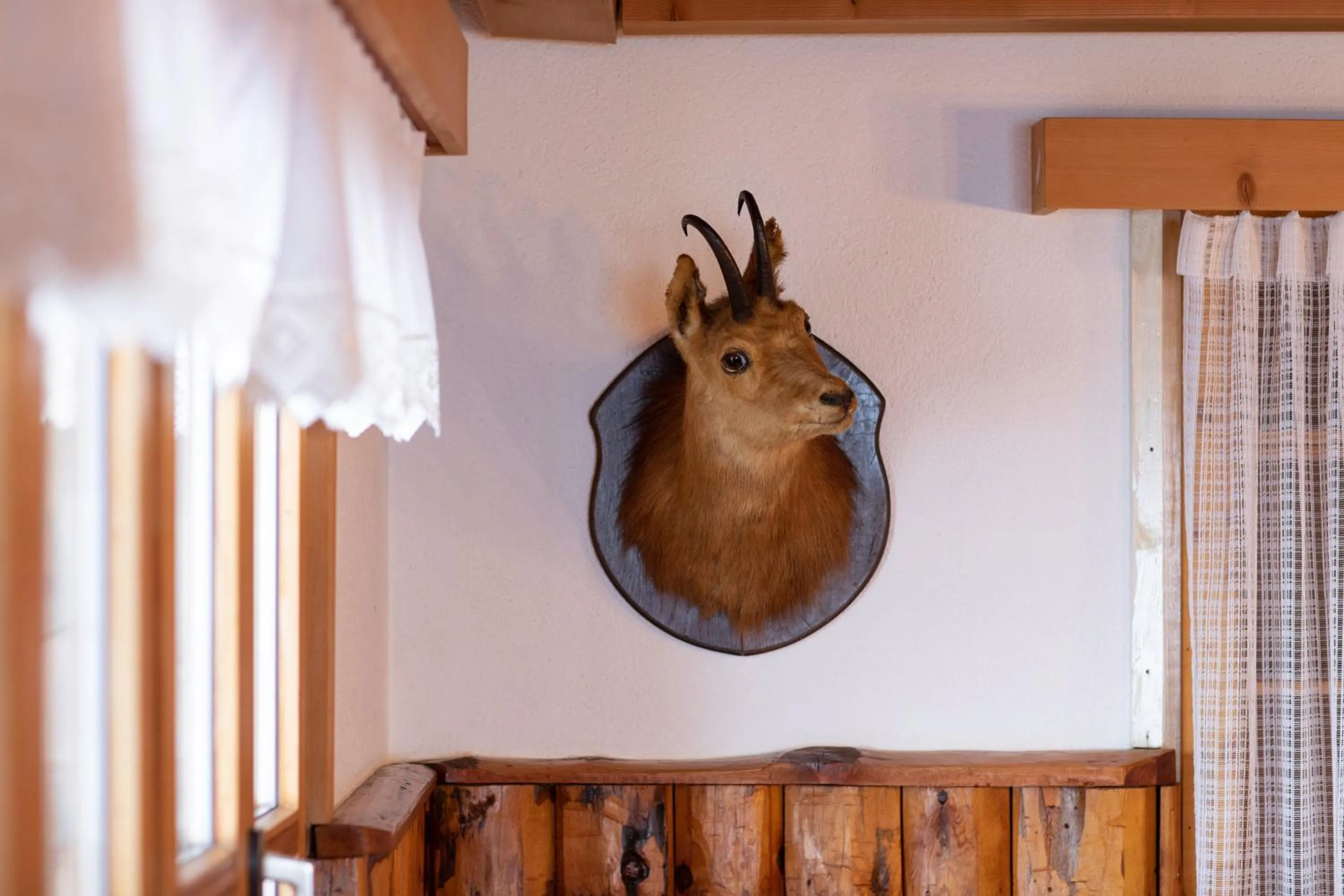 Restaurant/places to eat in Berghotel Gaffia