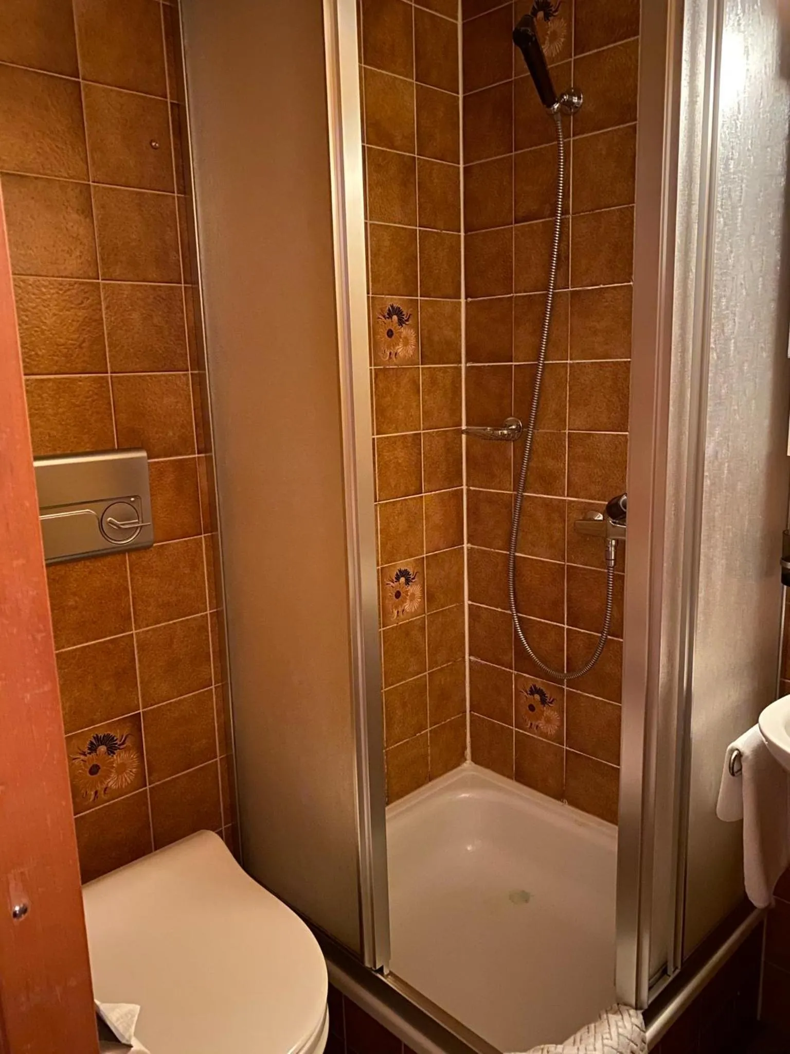 Shower in Berghotel Gaffia