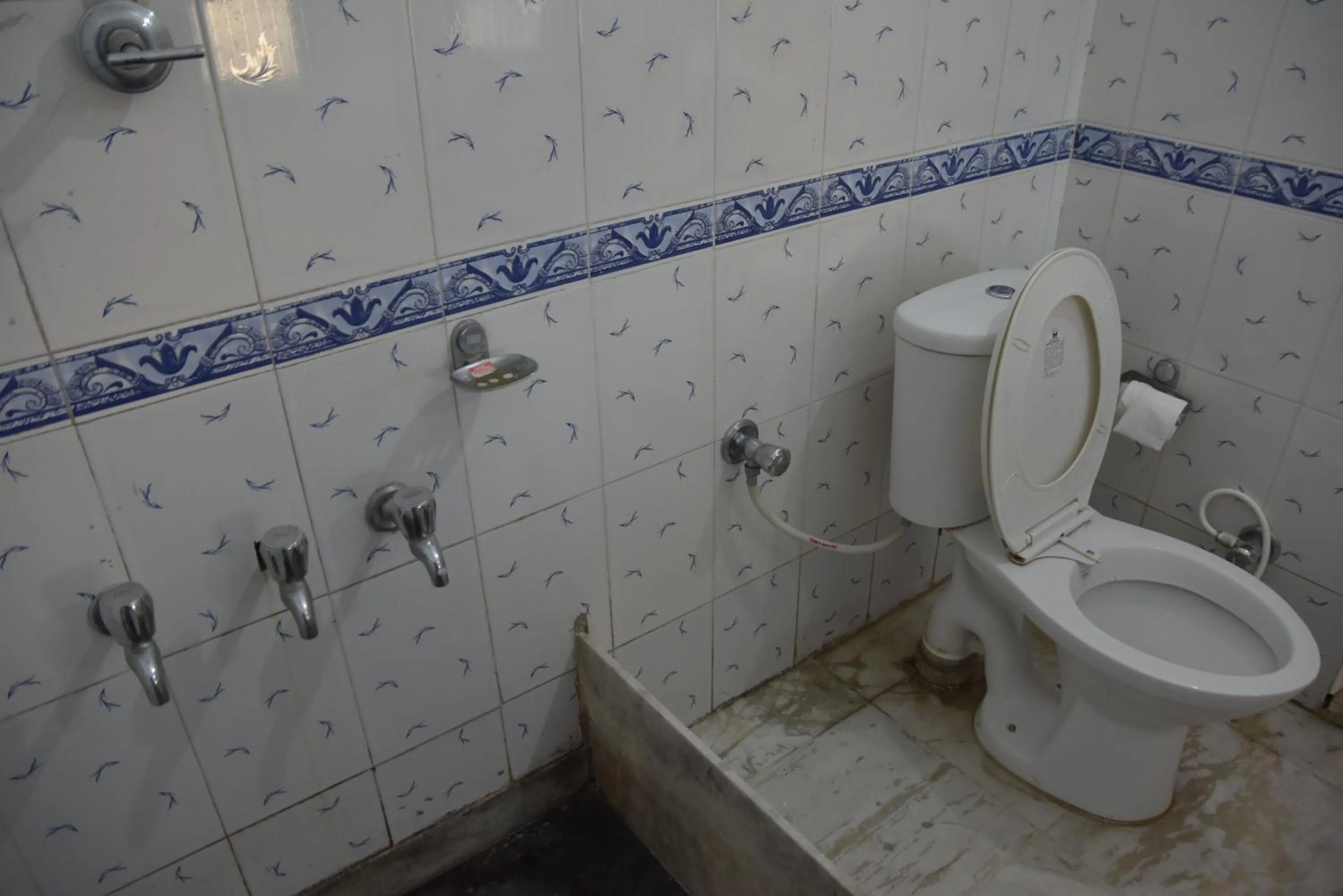 Toilet in Hotel Himshikhar