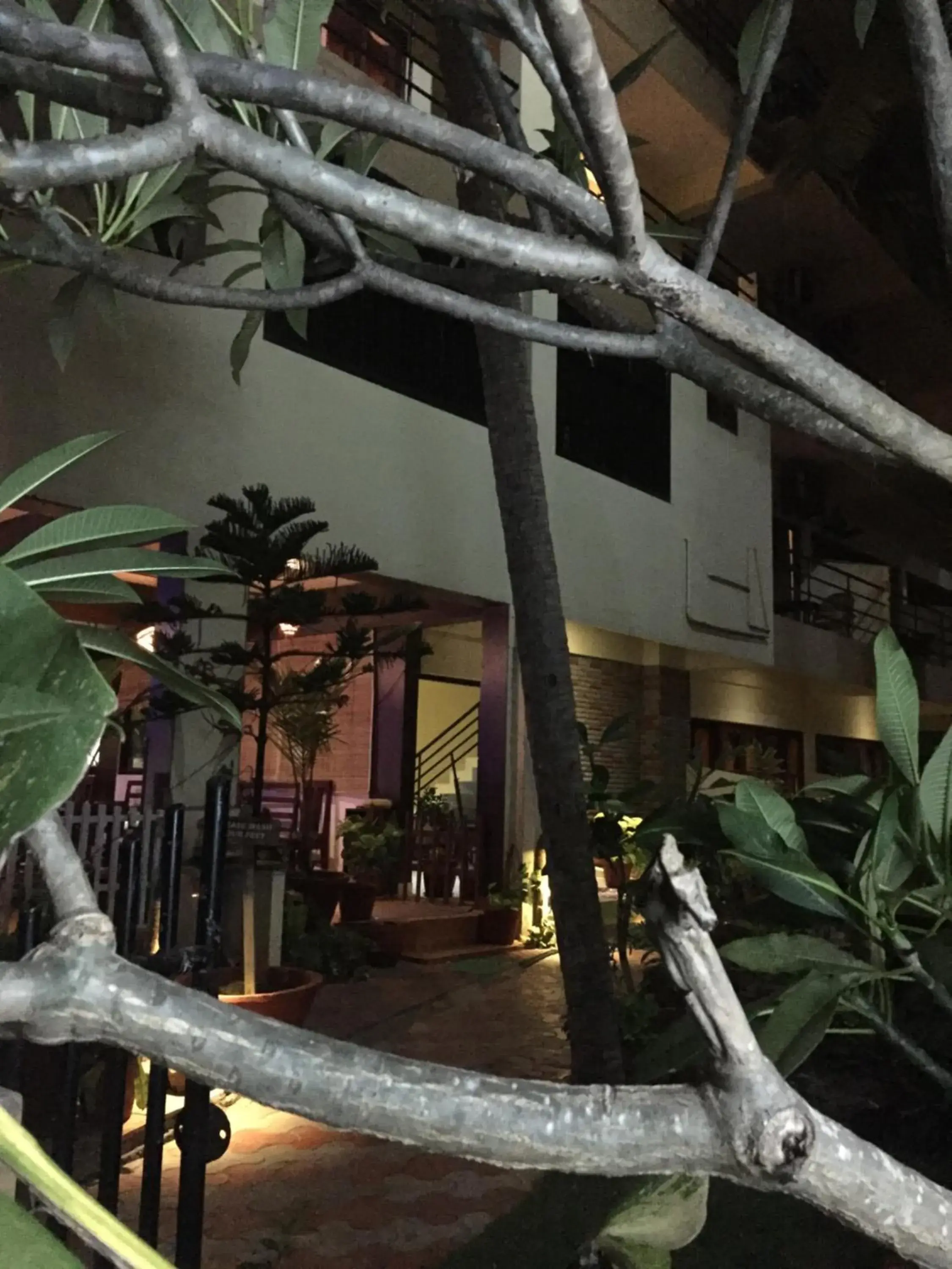 Property building in The Ocean Park Beach Resort Property building in The Ocean Park Beach Resort