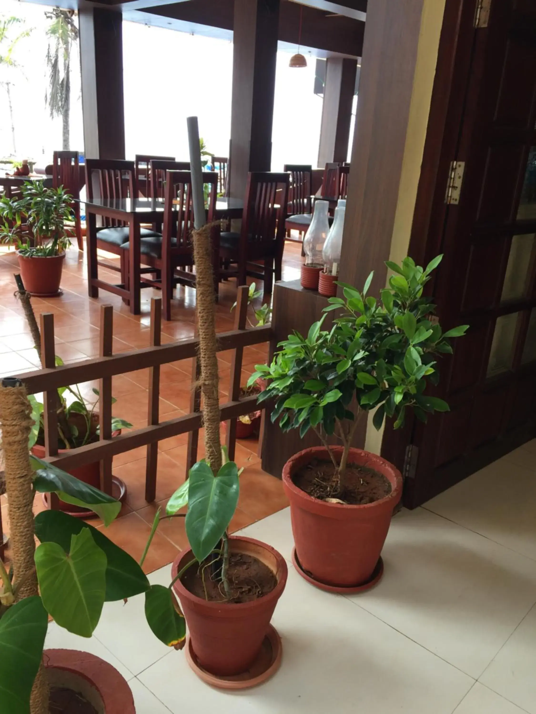 Restaurant/places to eat in The Ocean Park Beach Resort Restaurant/places to eat in The Ocean Park Beach Resort