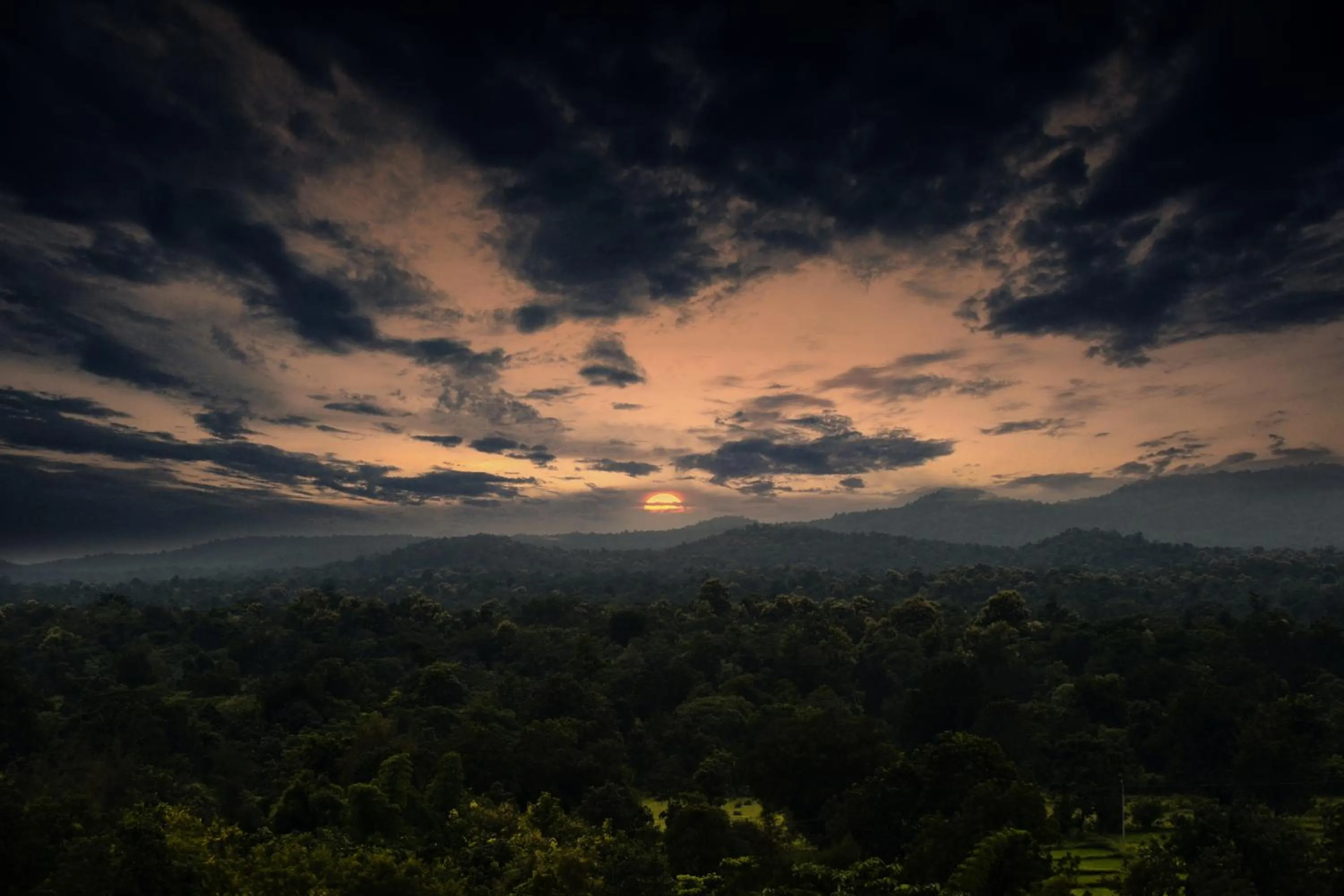 Natural landscape in Pench Jungle Camp