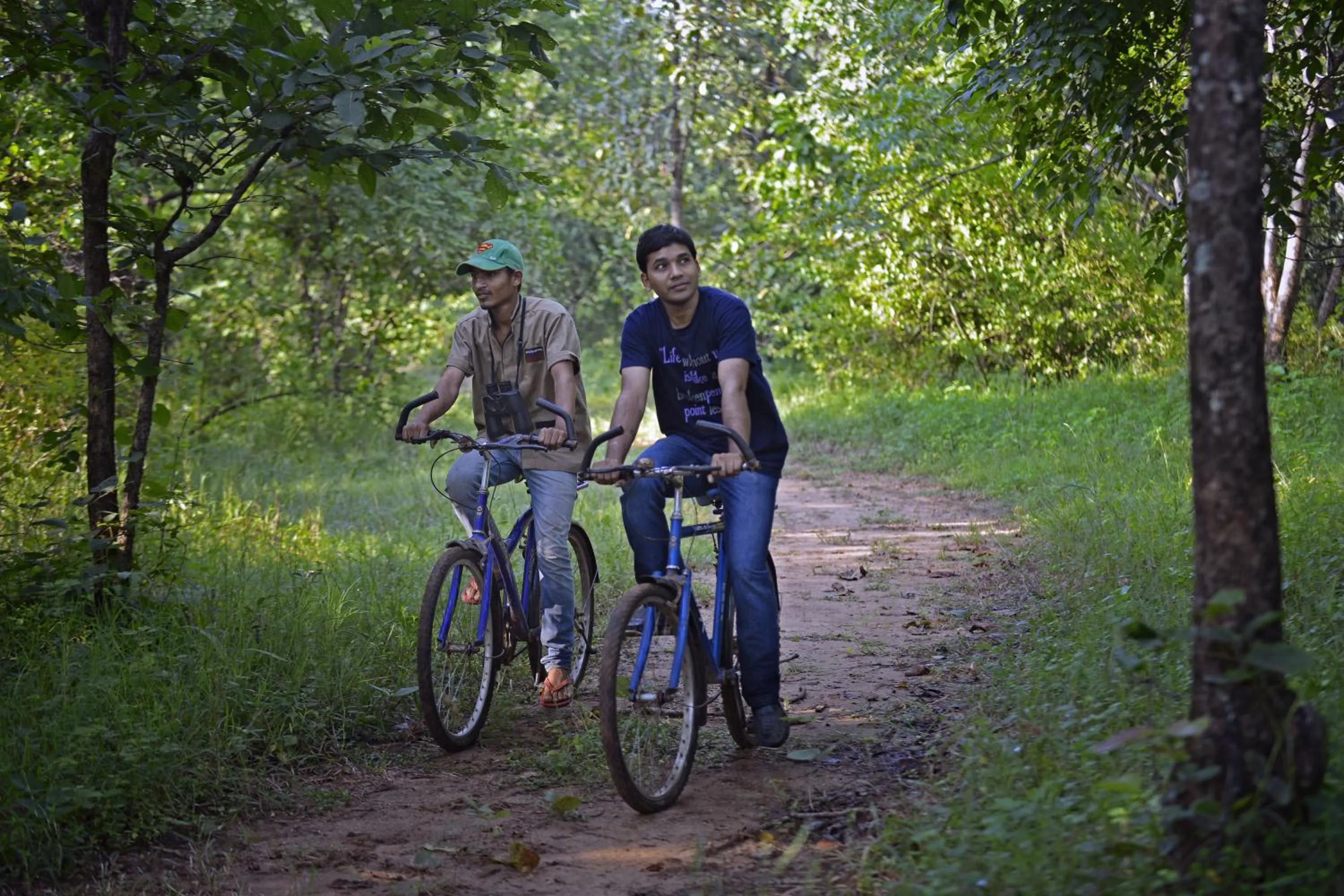 Day in Pench Jungle Camp