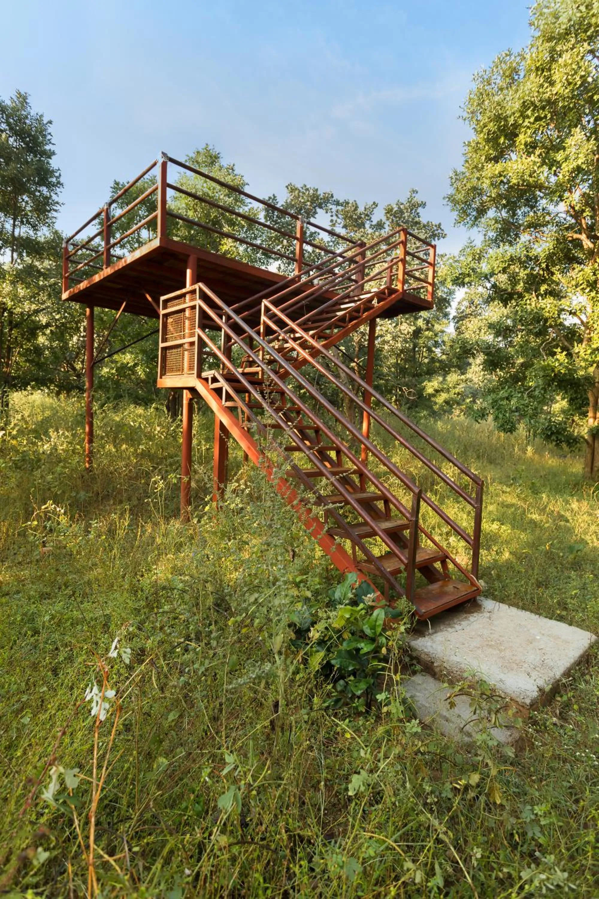 Garden in Pench Jungle Camp