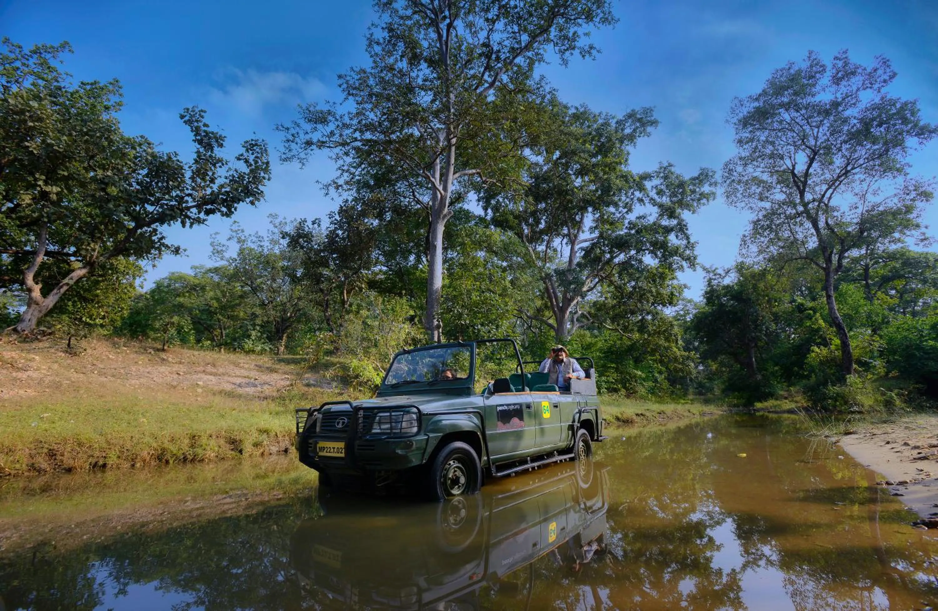 Diving in Pench Jungle Camp