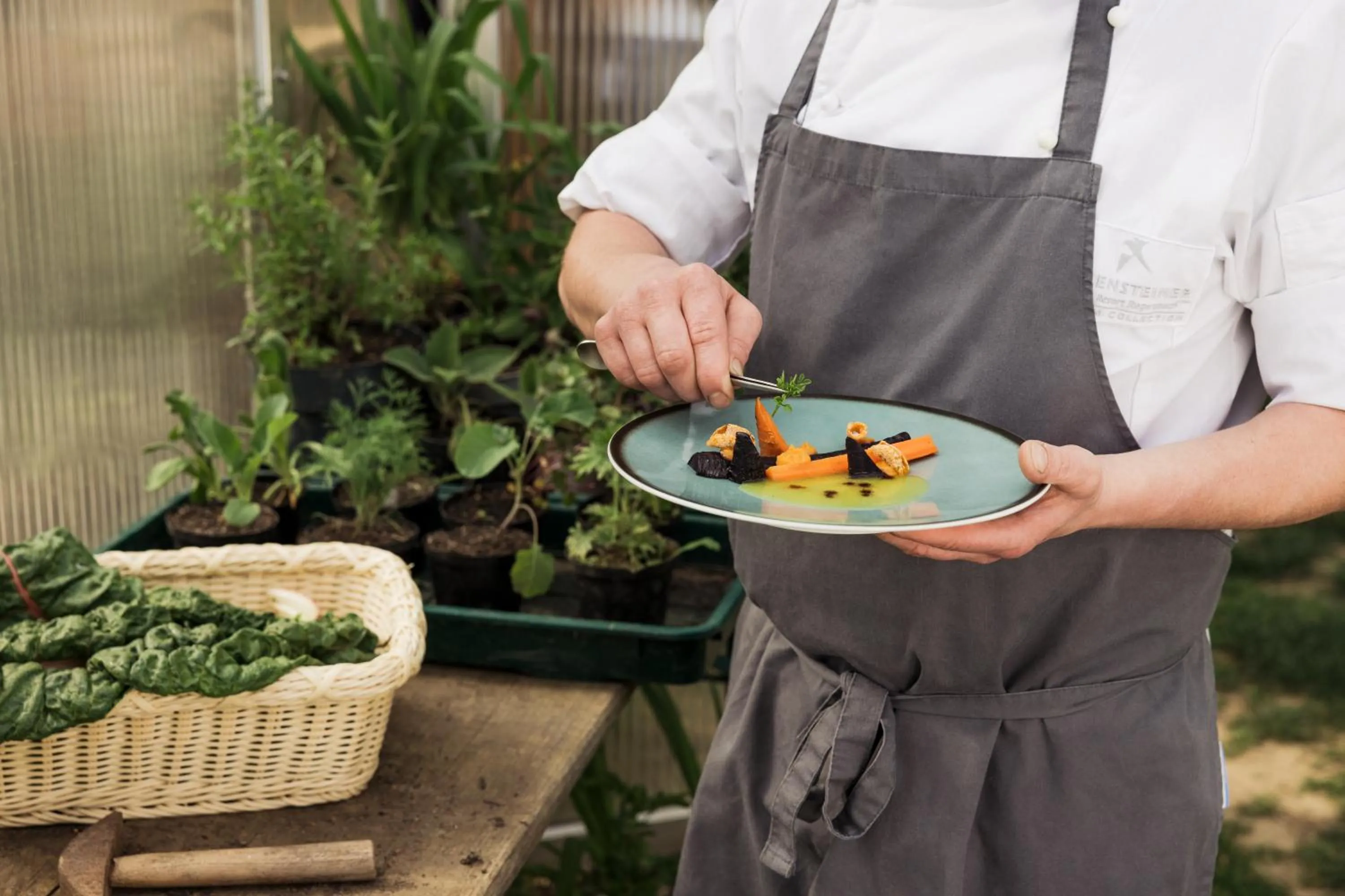 Garden in Falkensteiner Balance Resort Stegersbach - Adults only