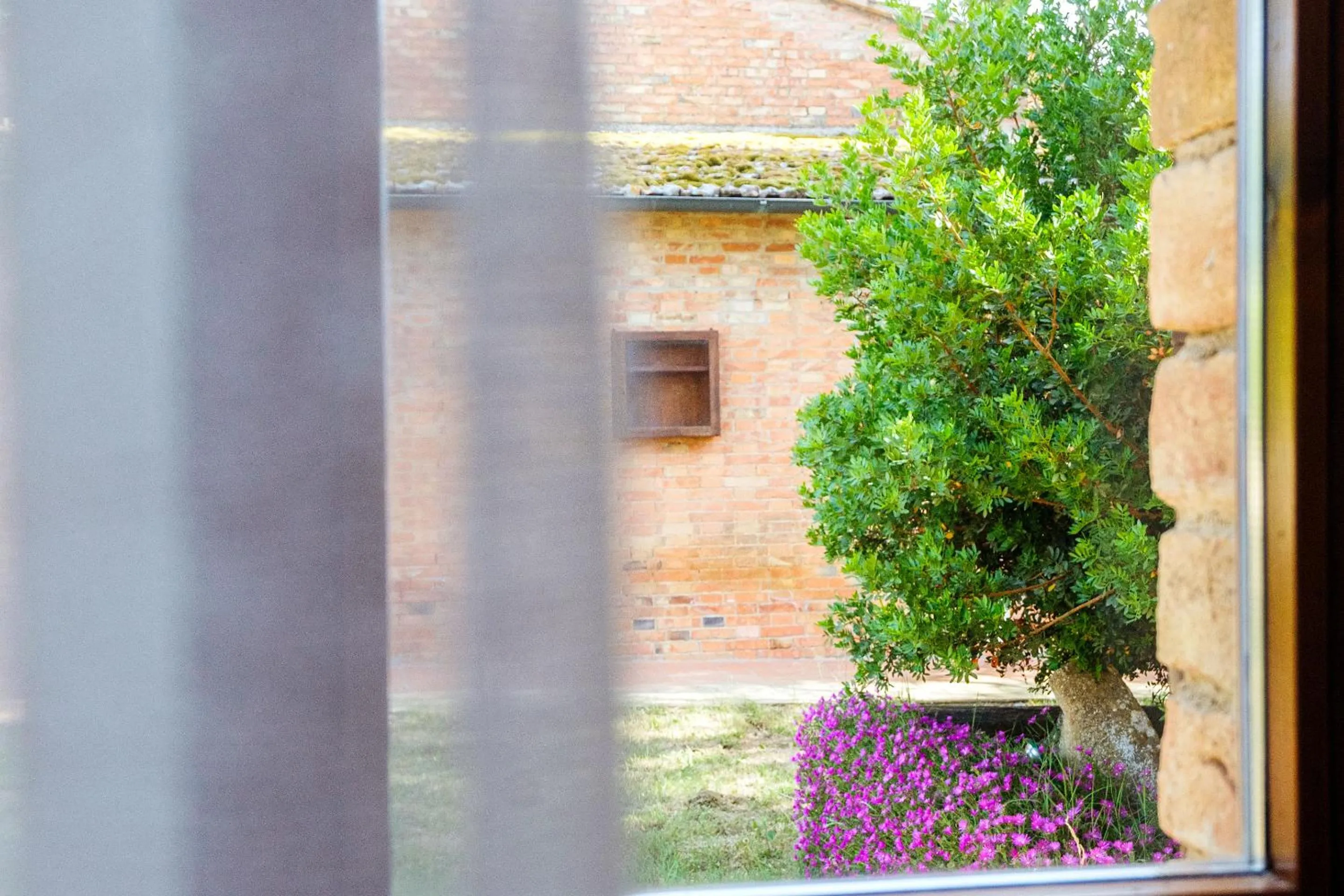 View (from property/room) in Agriturismo Cavalierino