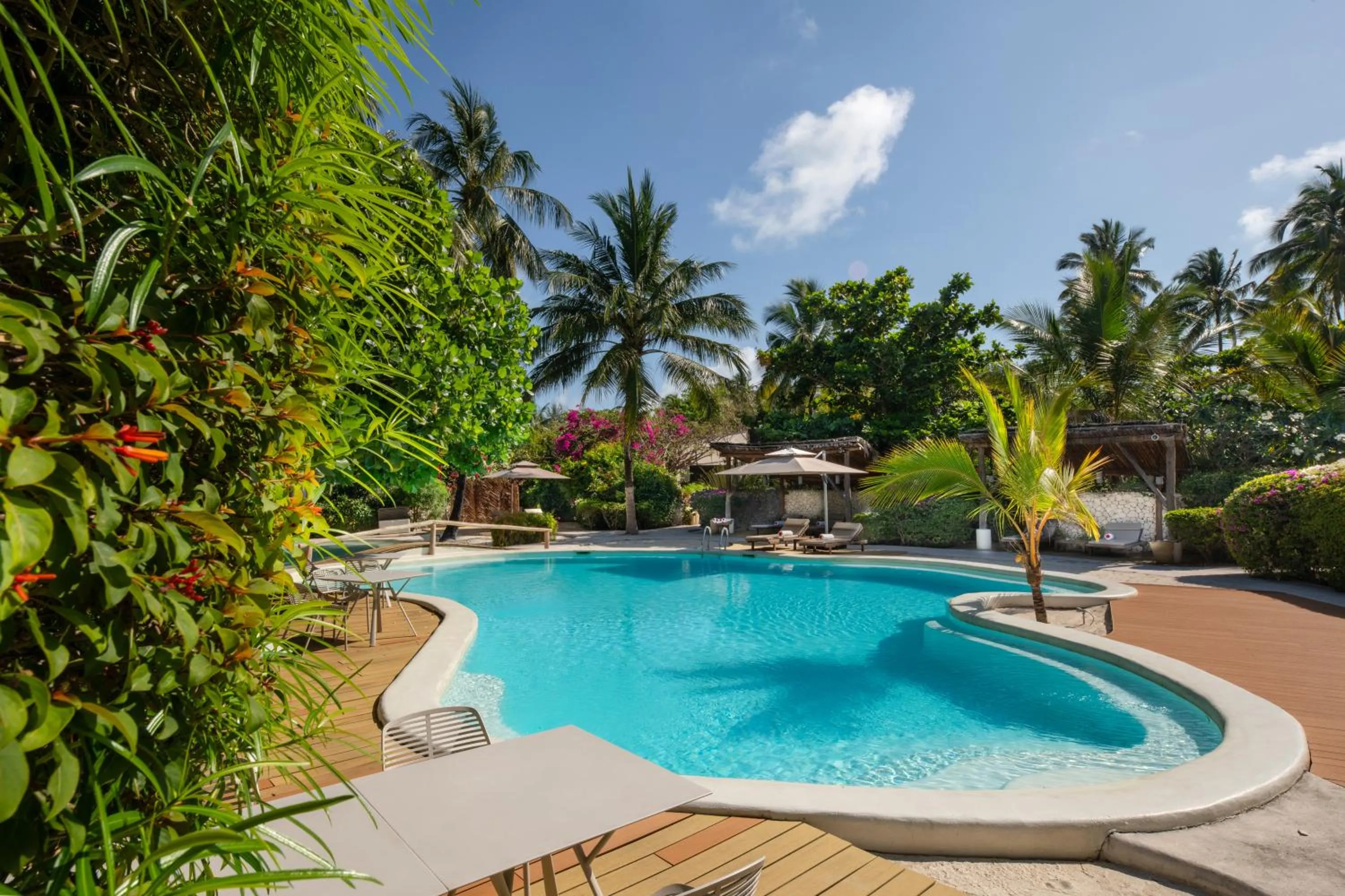 Swimming pool in Zanzibar White Sand Luxury Villas & Spa - Relais & Chateaux