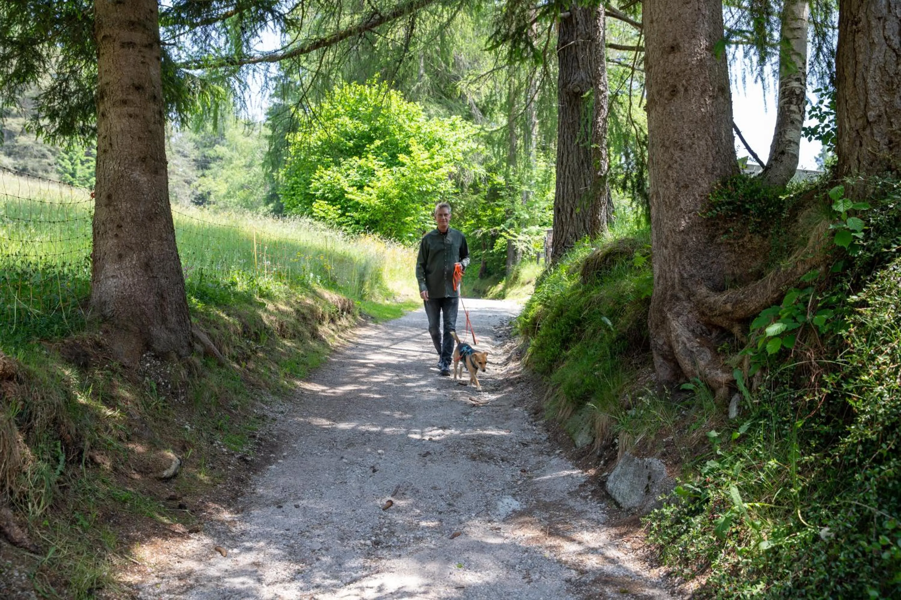 Pets in Hotel Pension Tyrol