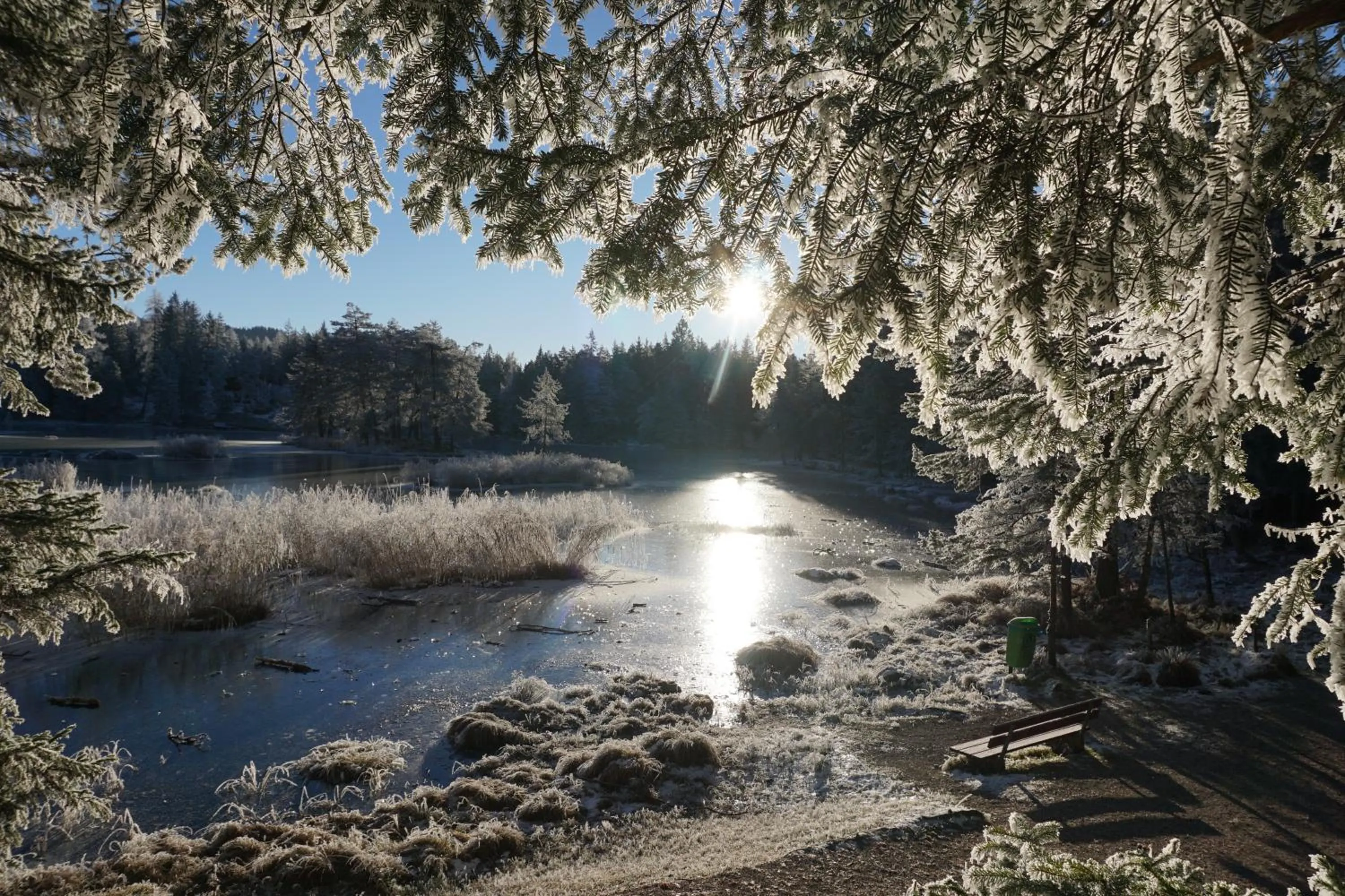 Natural landscape in Hotel Pension Tyrol