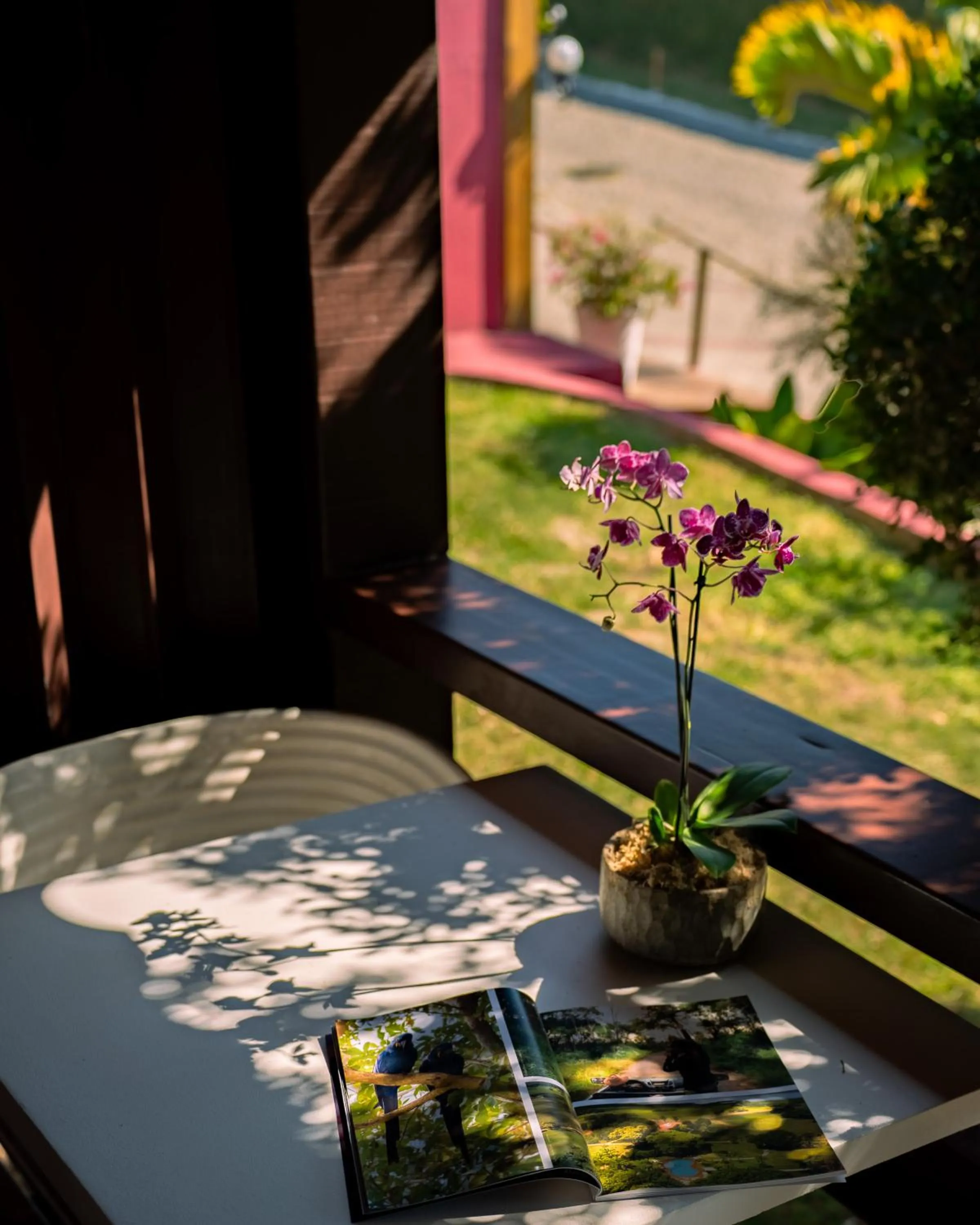 Balcony/Terrace in Jubarte Hotel by Insólito