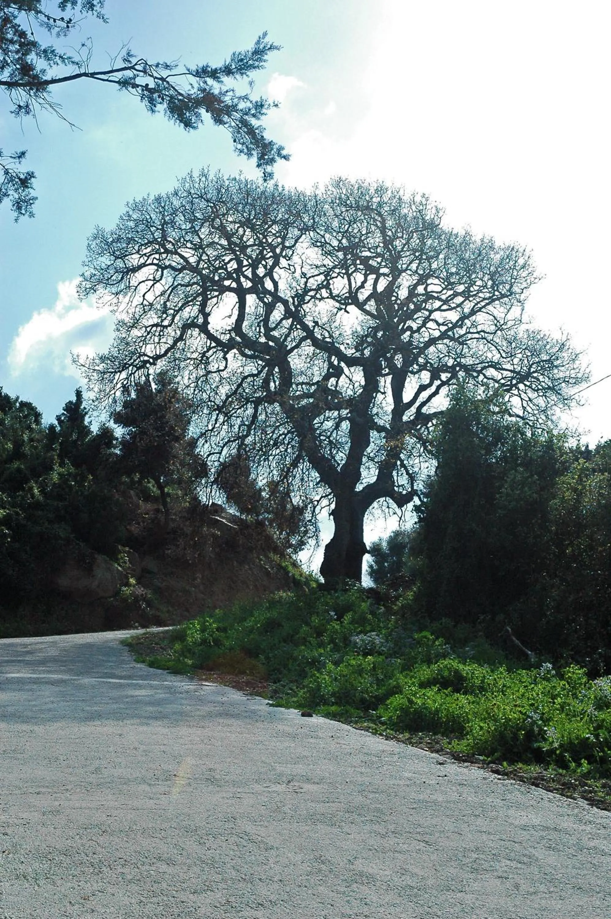 View (from property/room) in La Fattoria
